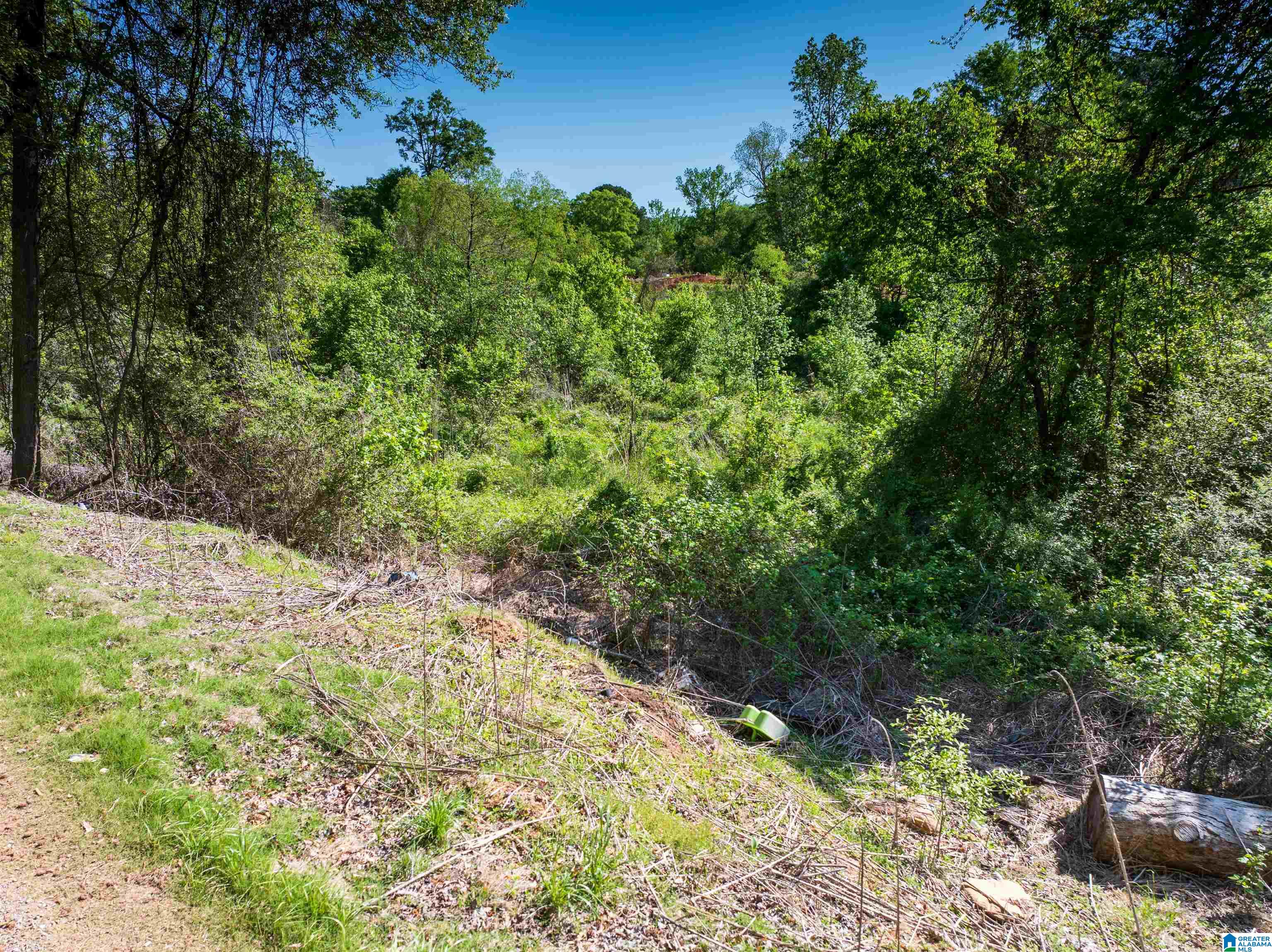 Off Of Joe Brackett Road, Unit X Jasper, AL 35504 - Photo 14 of 26