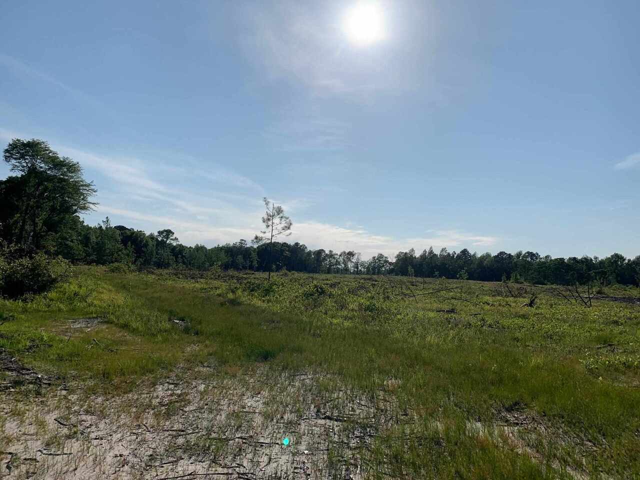 a view of a green field with clear sky