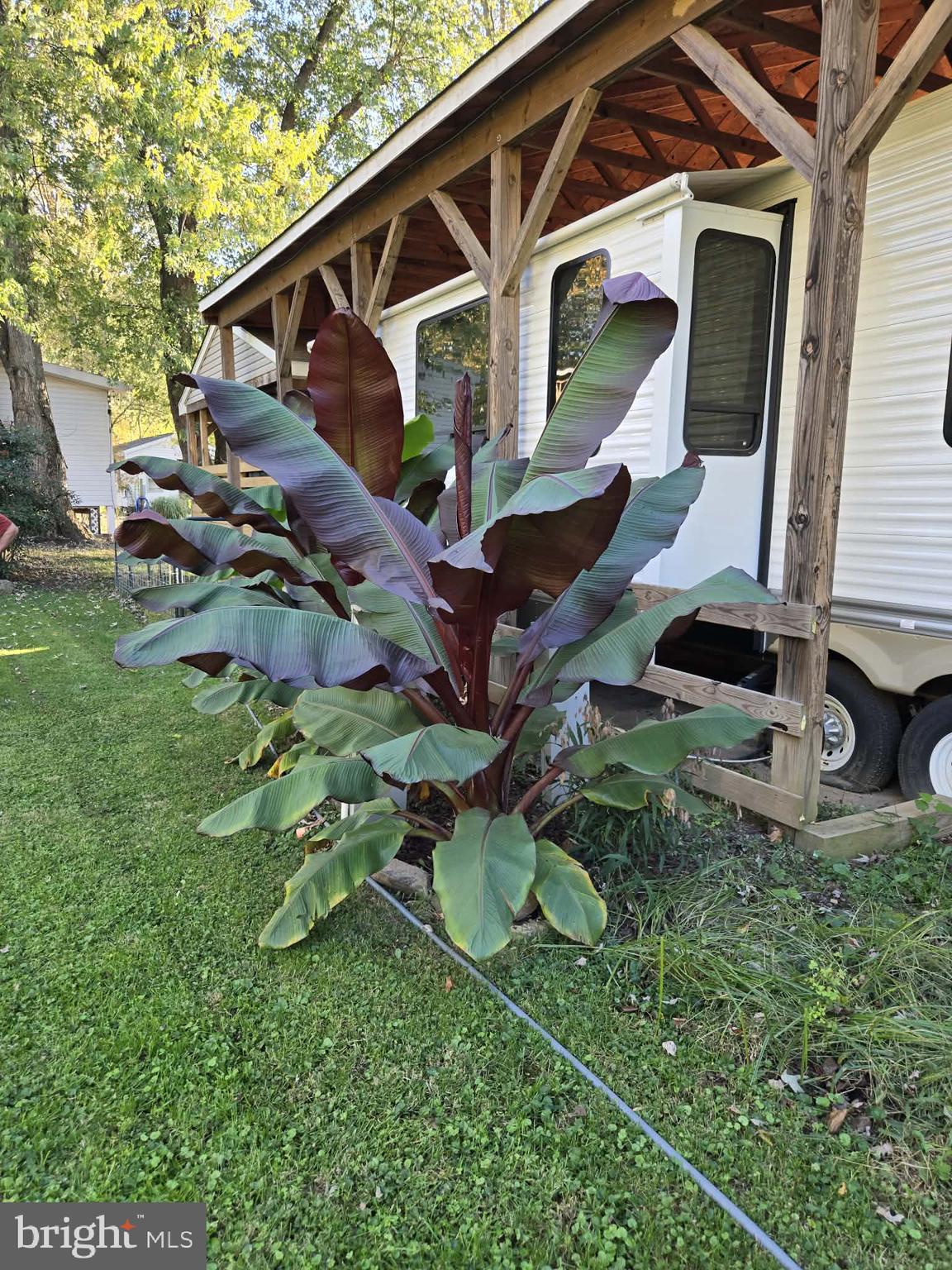 9 Jollywood Road Falling Waters, WV 25419 - Photo 11 of 26