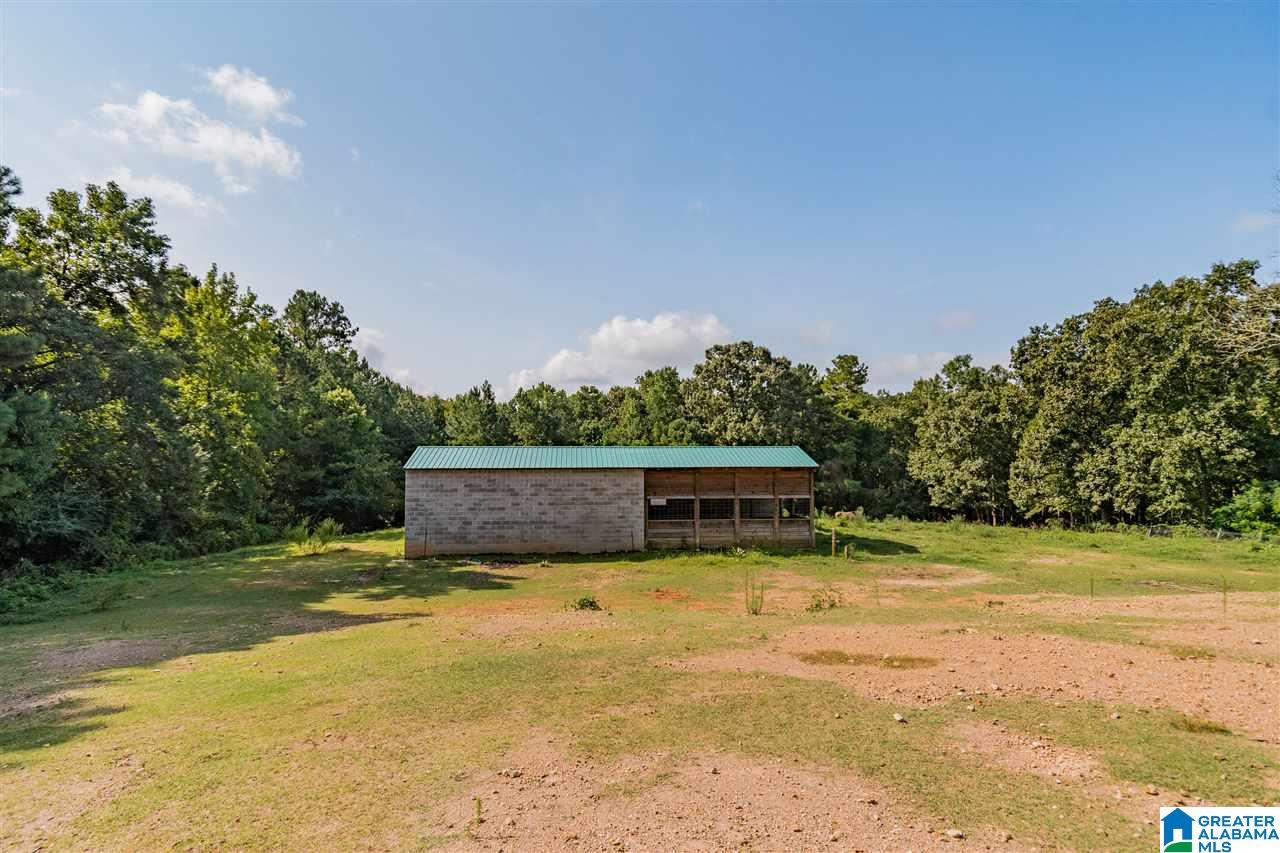 950 Deer Trace Road Pell City, AL 35125 - Photo 38 of 50