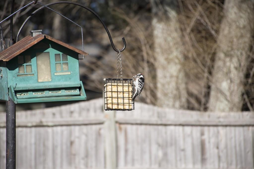 13 College Road Burlington, MA 01803 - Photo 3 of 28 Gallery Image 3