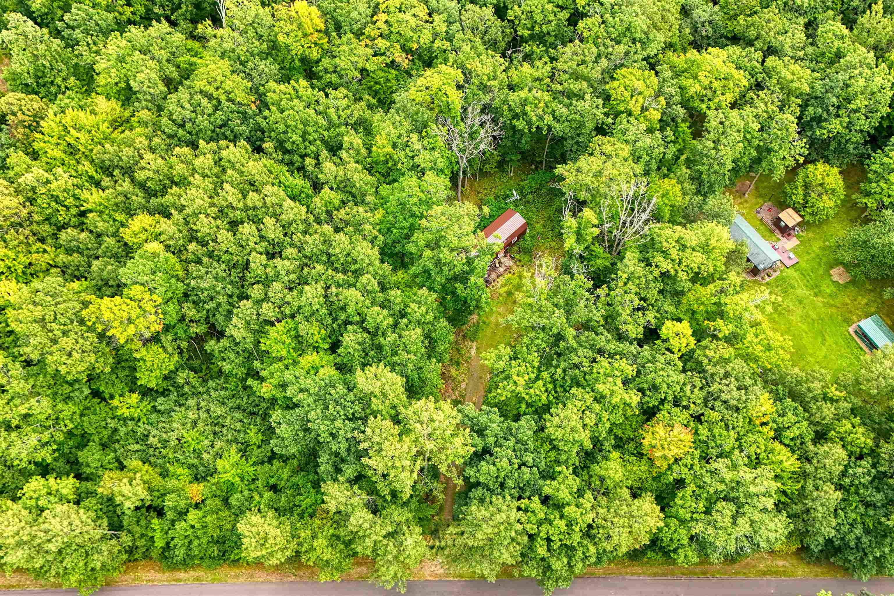 6772 5th Street Springbrook, WI 54875 - Photo 4 of 8 Drone / aerial view of a forest