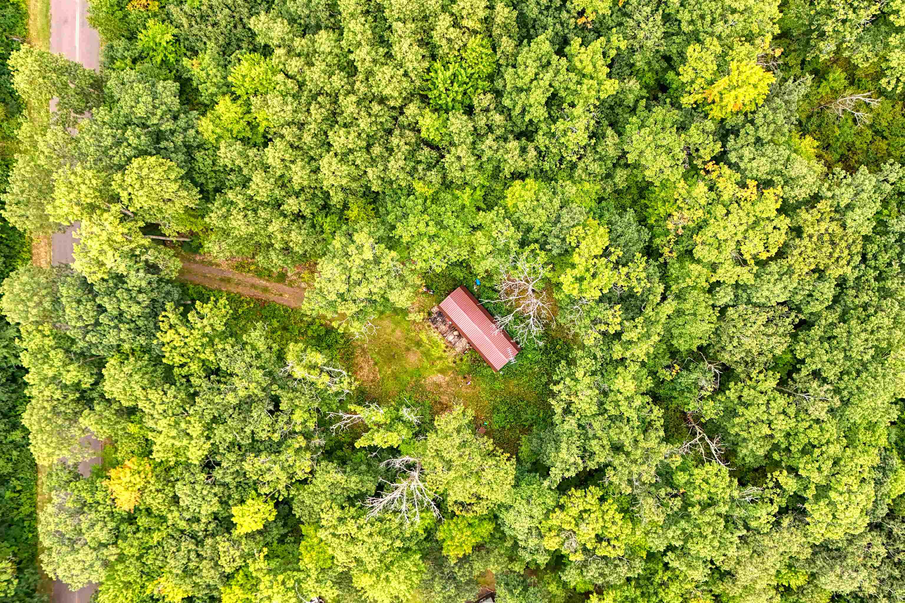 6772 5th Street Springbrook, WI 54875 - Photo 7 of 8 Aerial view of a forest