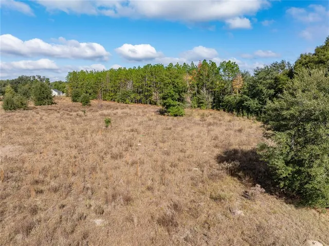 a view of a bunch of trees in a field