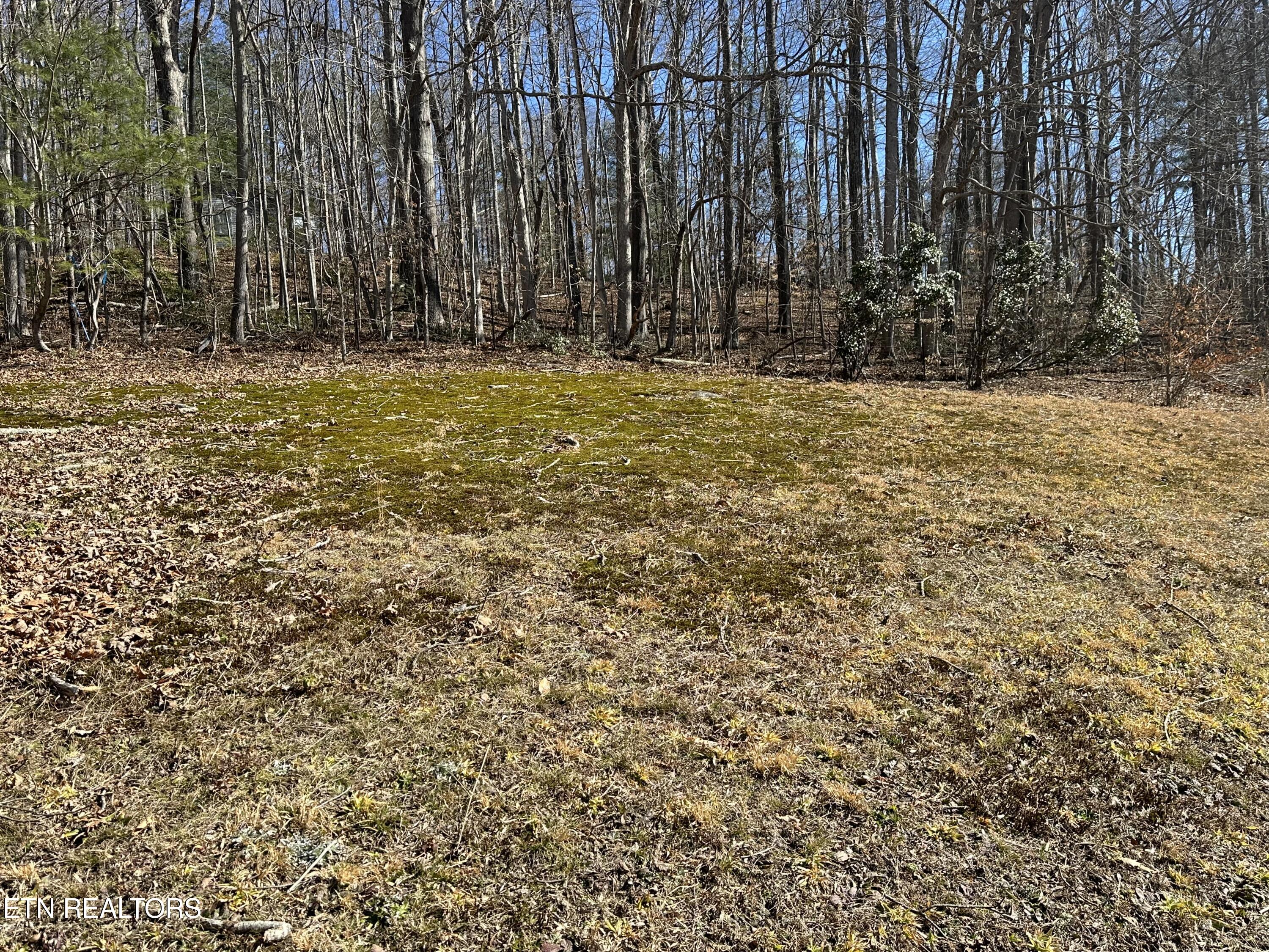 Tbd Ridge Road Baxter, KY 40806 - Photo 2 of 12 IMG_4043