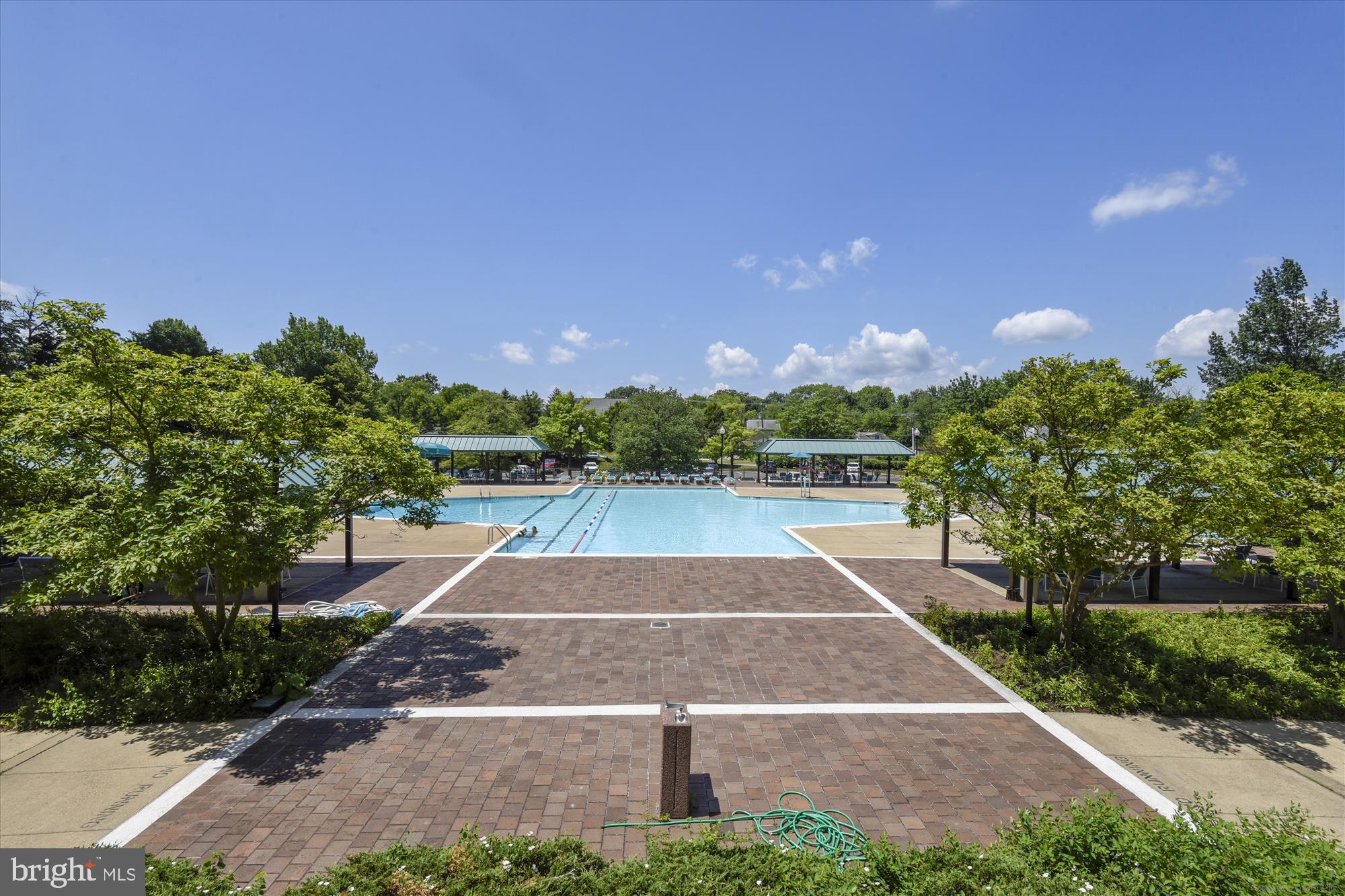 5505 Seminary Road, Unit 517N Falls Church, VA 22041 - Photo 6 of 45 Gallery Image 6