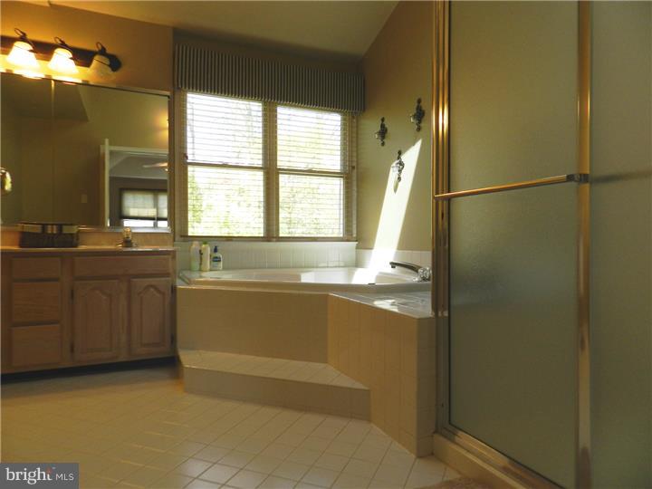 323 Windy Run Road Doylestown, PA 18901 - Photo 10 of 17 Master Bathroom