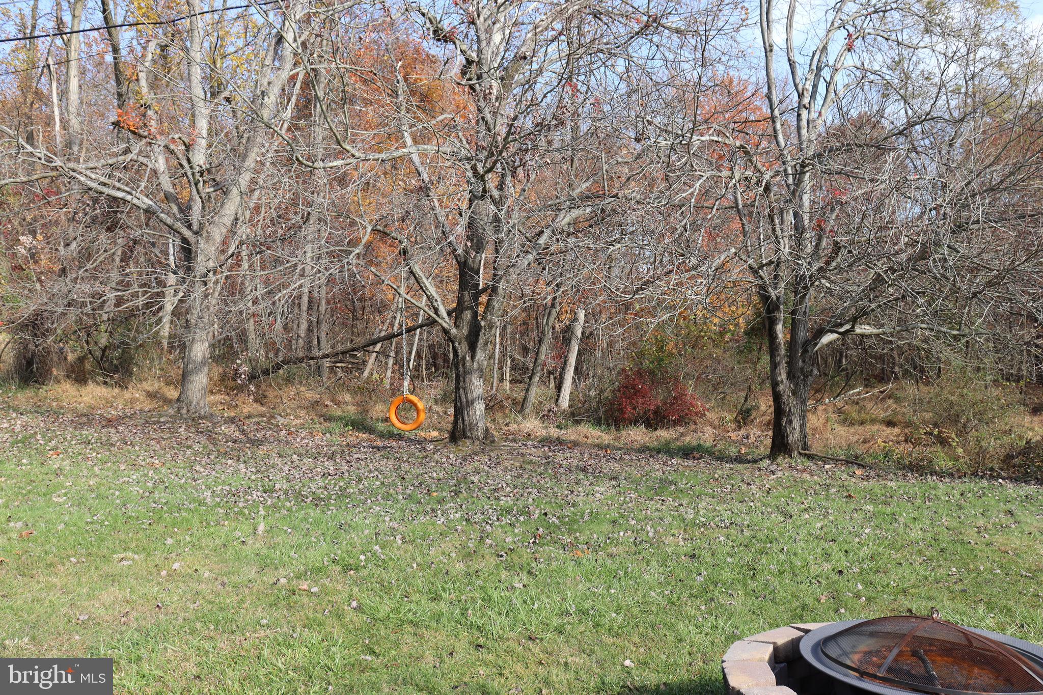 6816 Fox Meadow Road Gwynn Oak, MD 21207 - Photo 14 of 51 Wooded Backyard