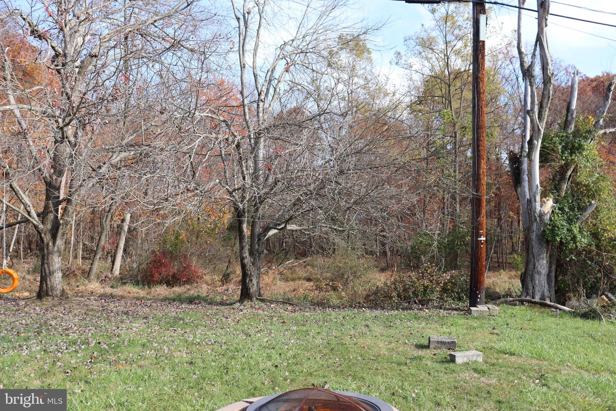 6816 Fox Meadow Road Gwynn Oak, MD 21207 - Photo 15 of 51 Wooded Backyard