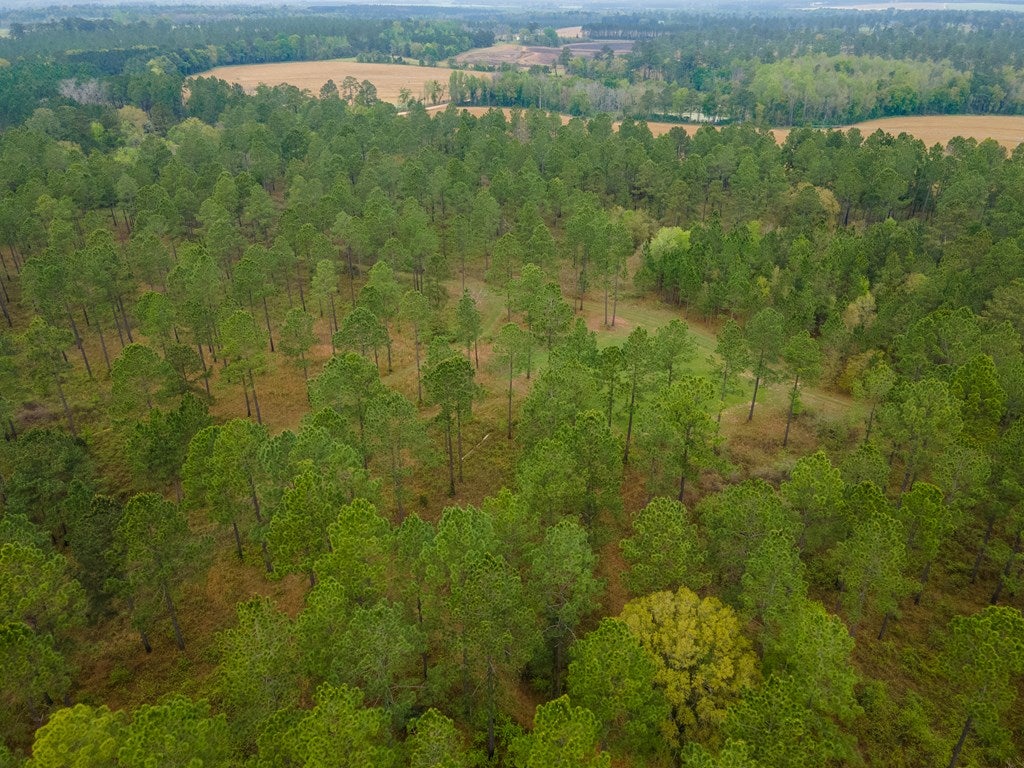 649 Okapilco Church Road Dixie, GA 31629 - Photo 47 of 49 Gallery Image 47