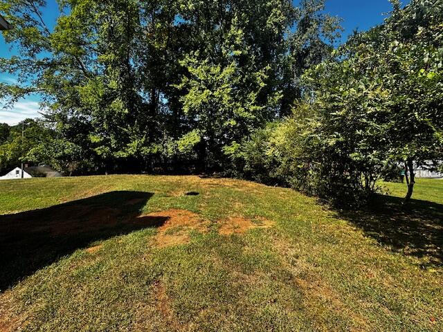 64 Oak Road Collinsville, VA 24078 - Photo 29 of 30 IMG_0585