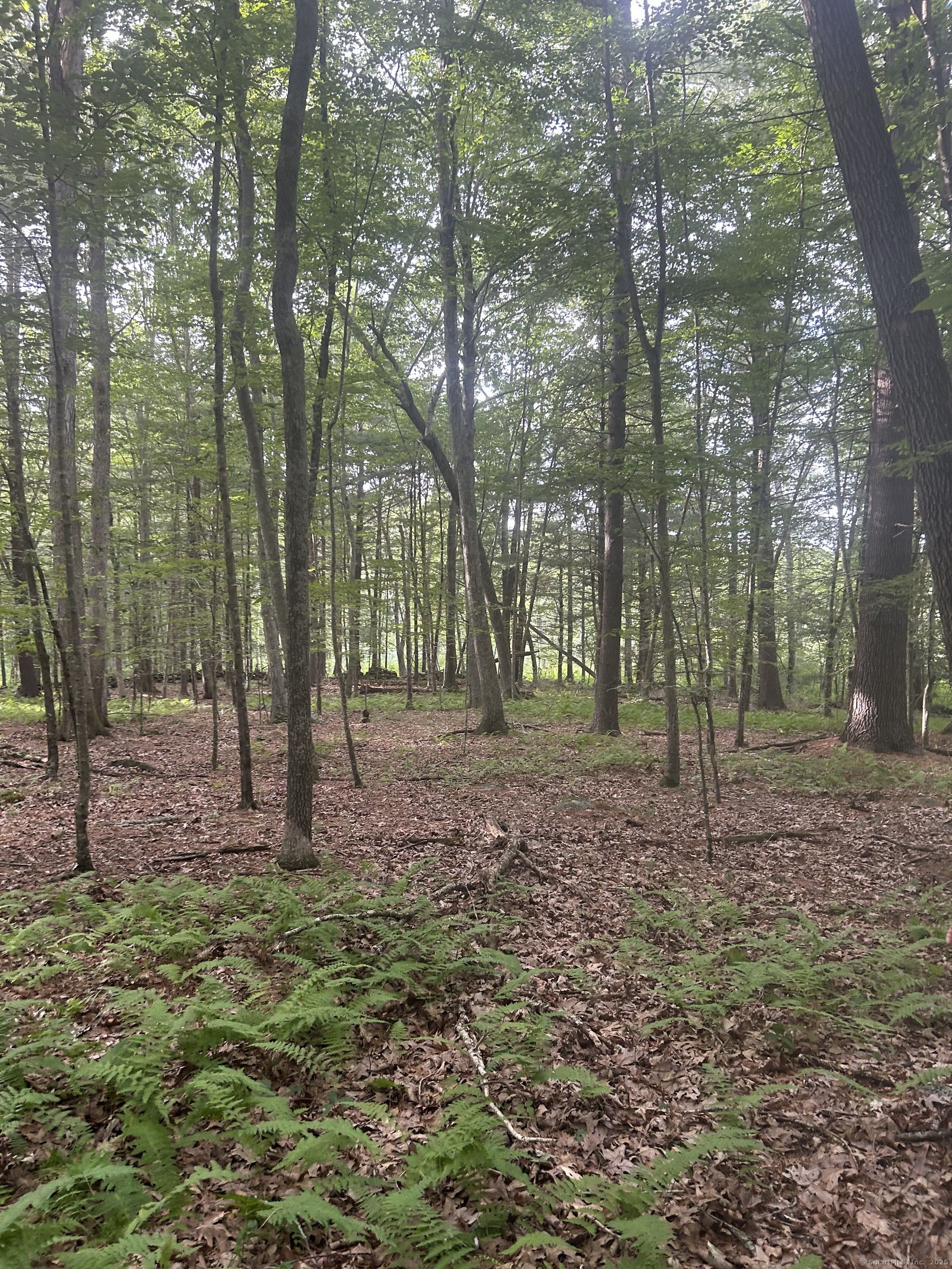 78 Salt Rock Road Sprague, CT 06330 - Photo 12 of 28 a view of outdoor space and green space