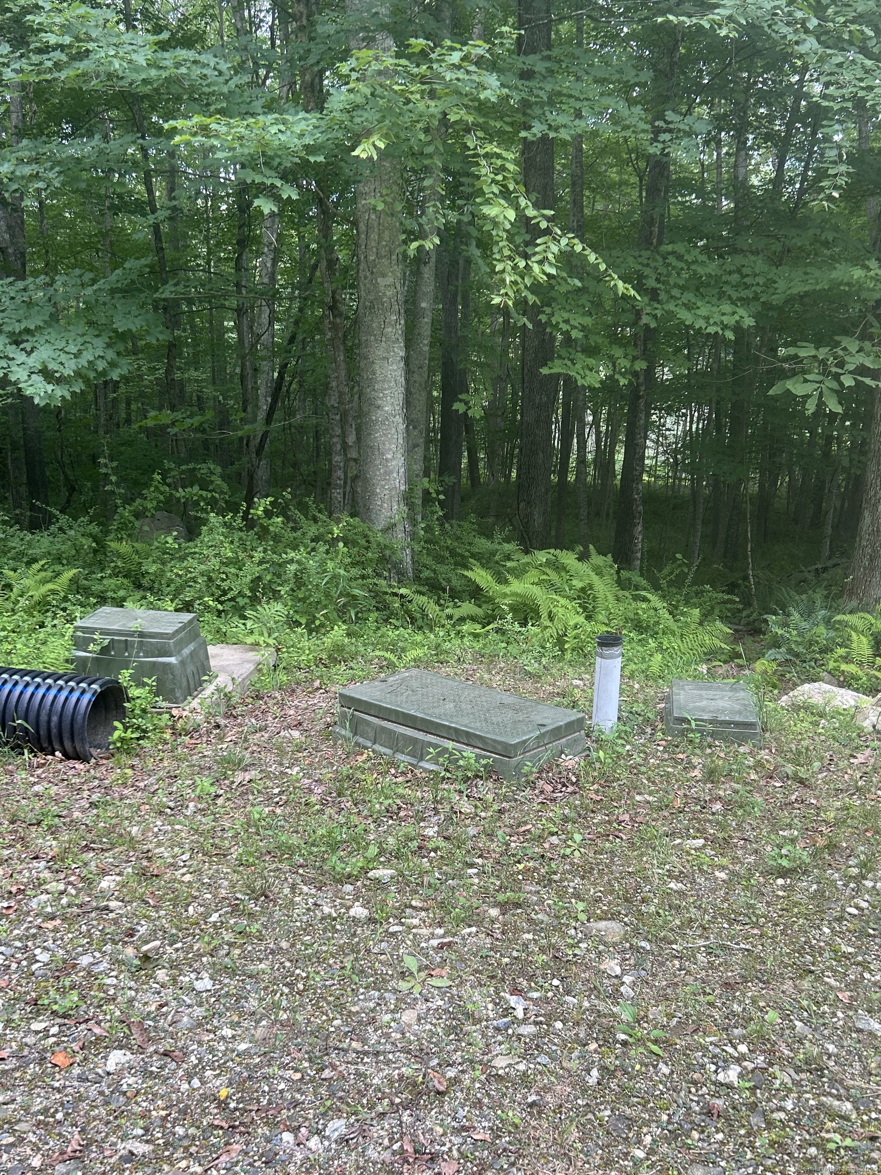 78 Salt Rock Road Sprague, CT 06330 - Photo 19 of 28 a backyard of a house with lots of green space