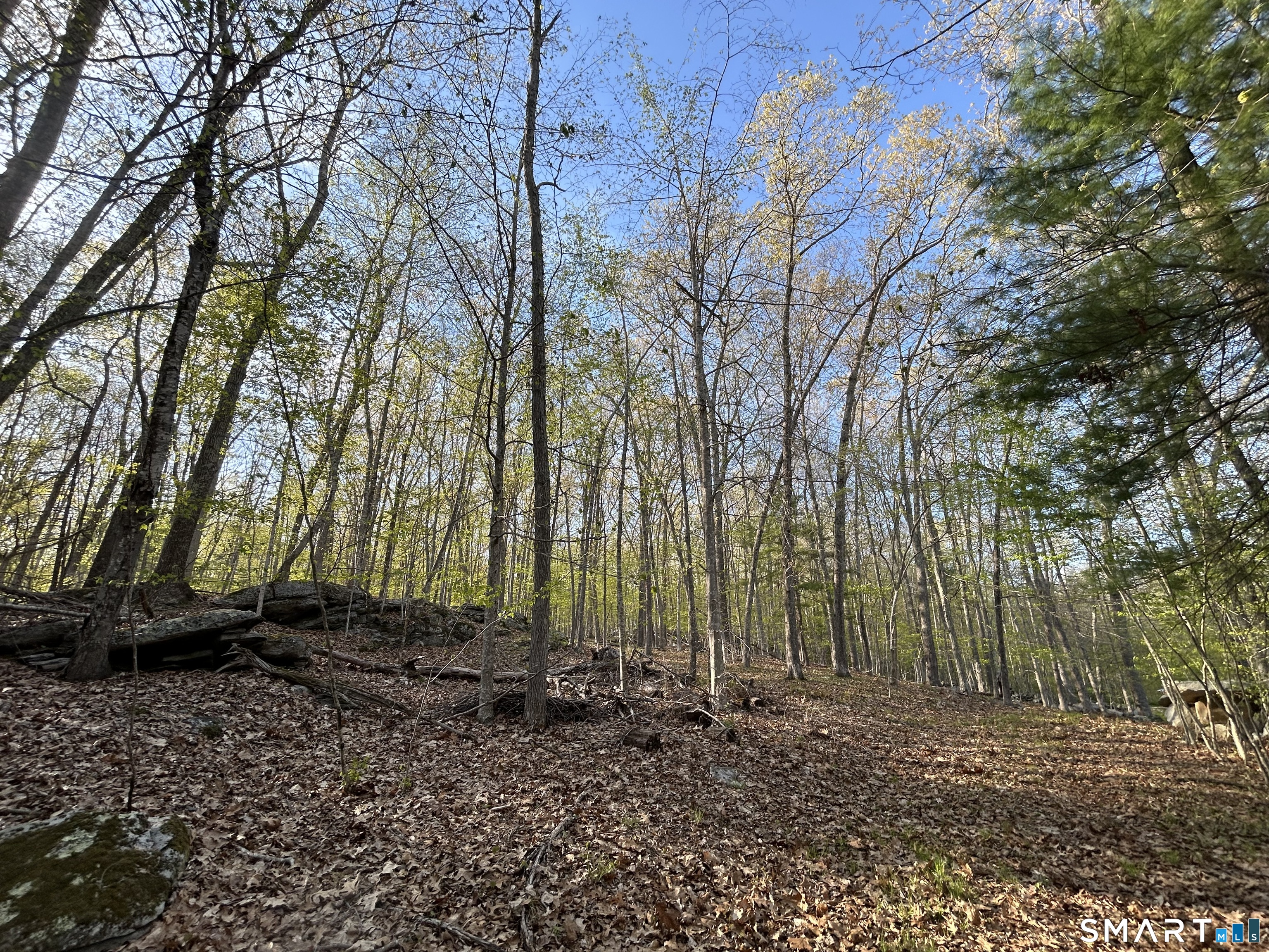 78 Salt Rock Road Sprague, CT 06330 - Photo 21 of 28 a view of backyard with green space