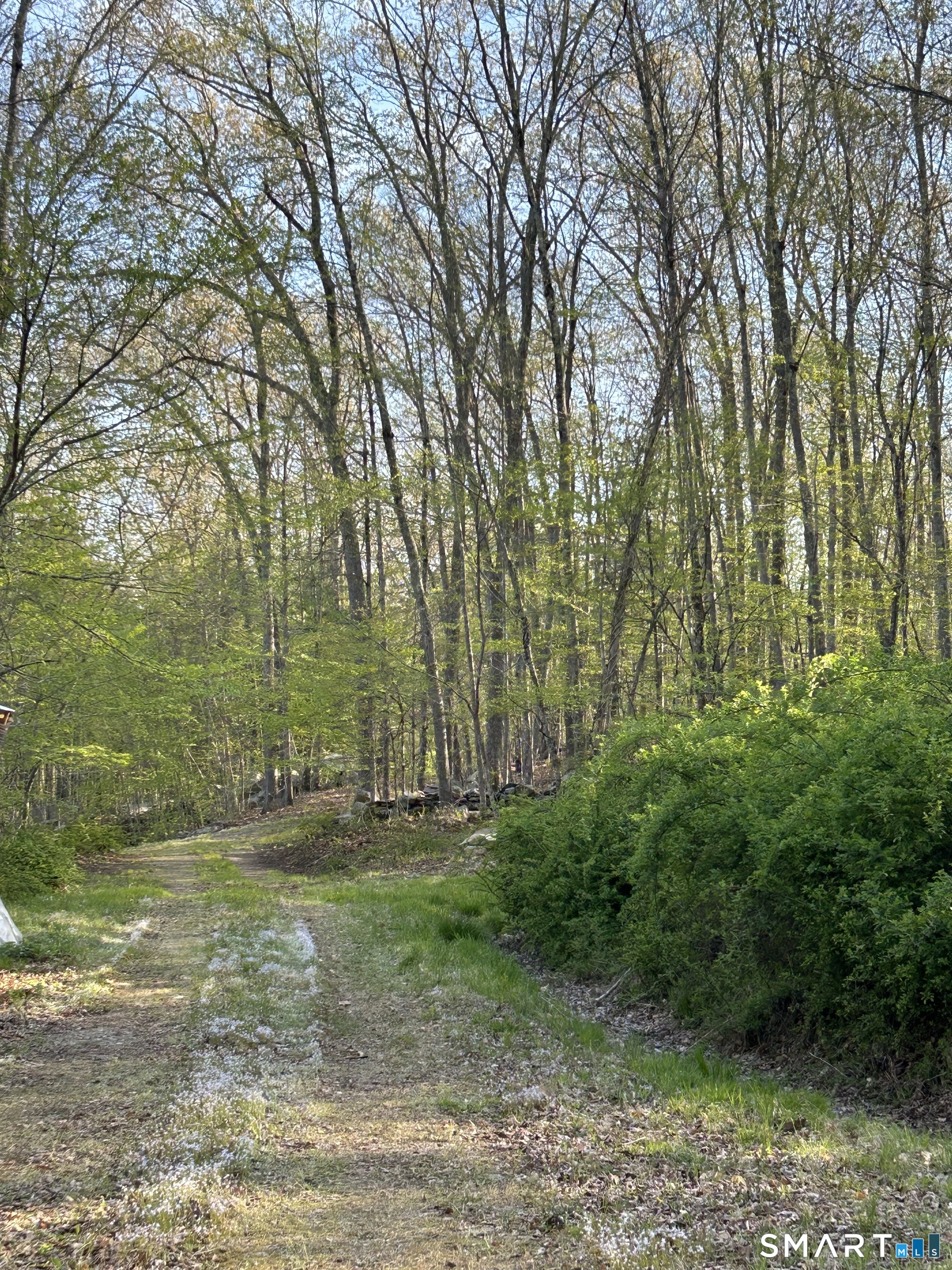 78 Salt Rock Road Sprague, CT 06330 - Photo 22 of 28 a backyard of a house with lots of green space
