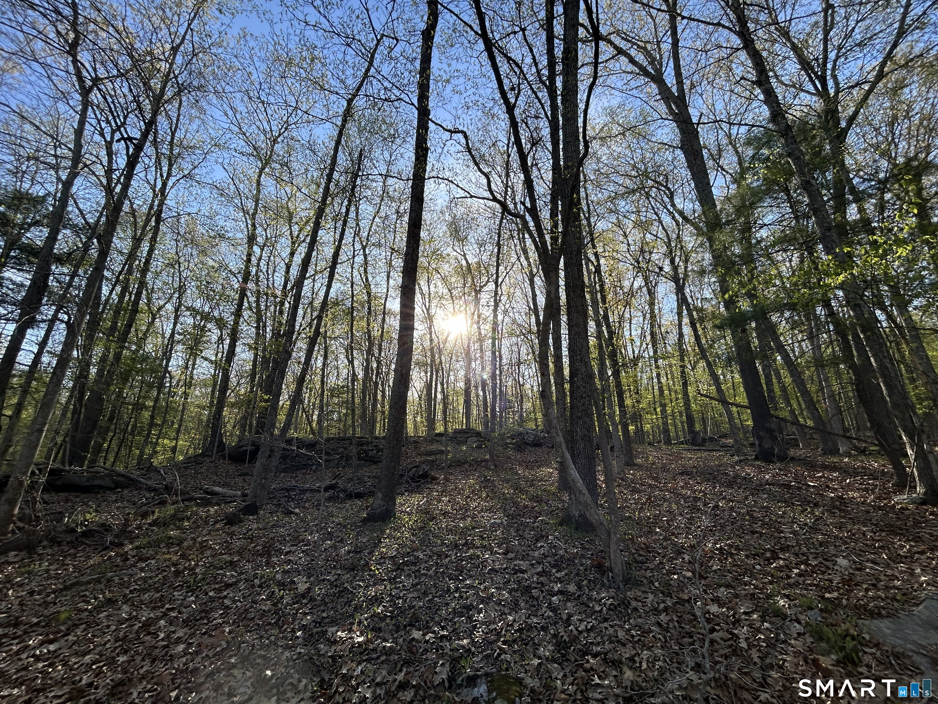 78 Salt Rock Road Sprague, CT 06330 - Photo 23 of 28 a view of a backyard with large trees