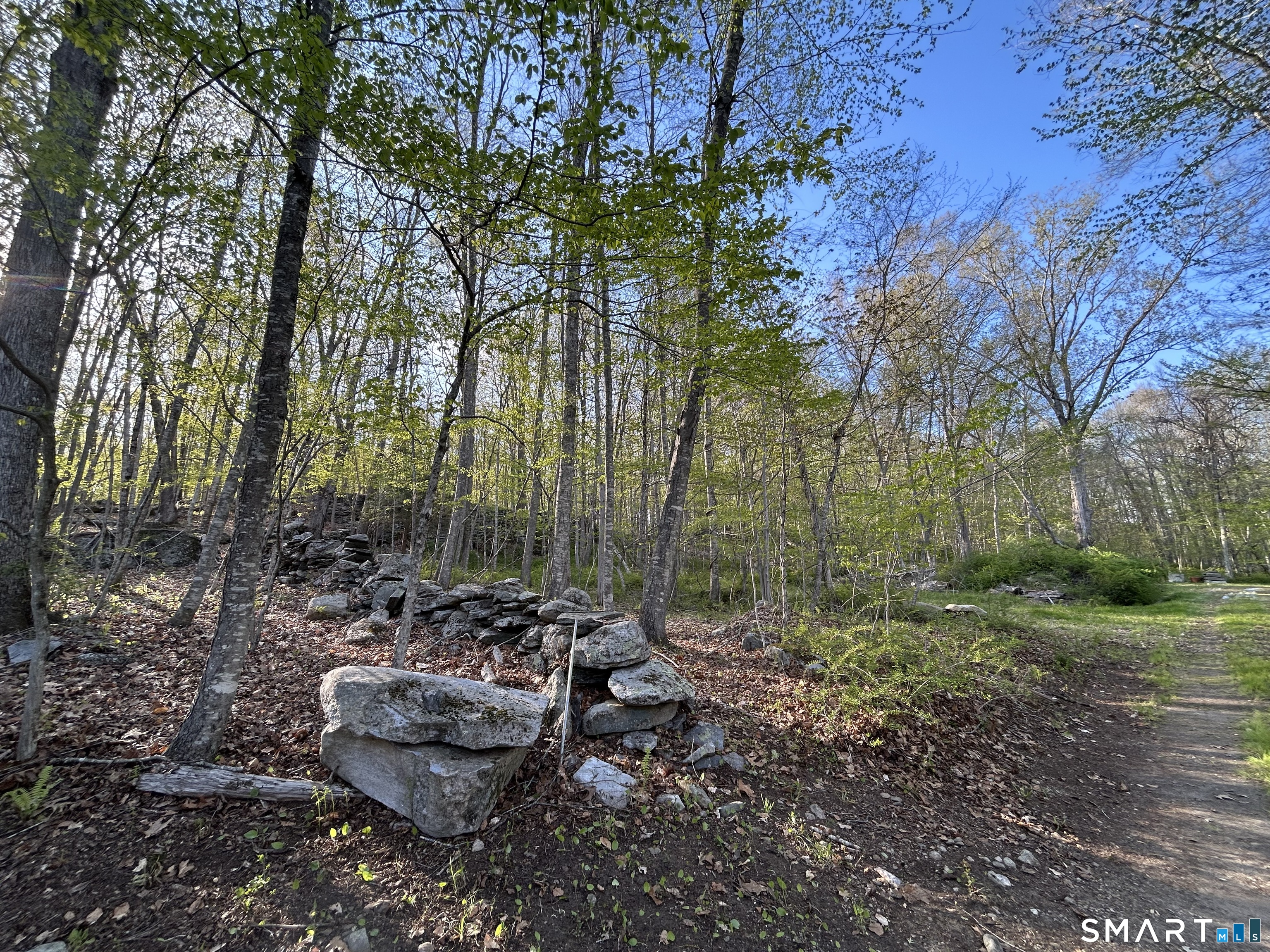78 Salt Rock Road Sprague, CT 06330 - Photo 25 of 28 a garden view with tall trees