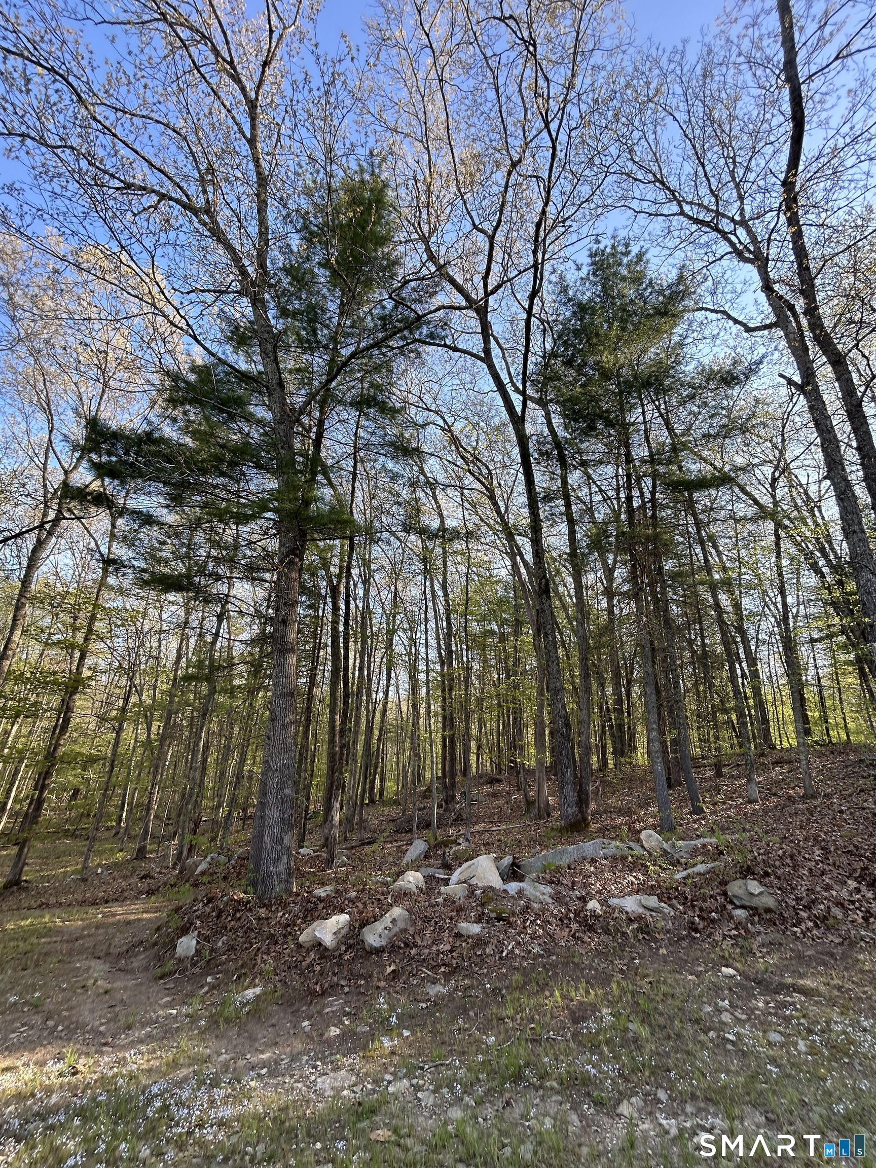 78 Salt Rock Road Sprague, CT 06330 - Photo 26 of 28 a backyard of a house with lots of green space