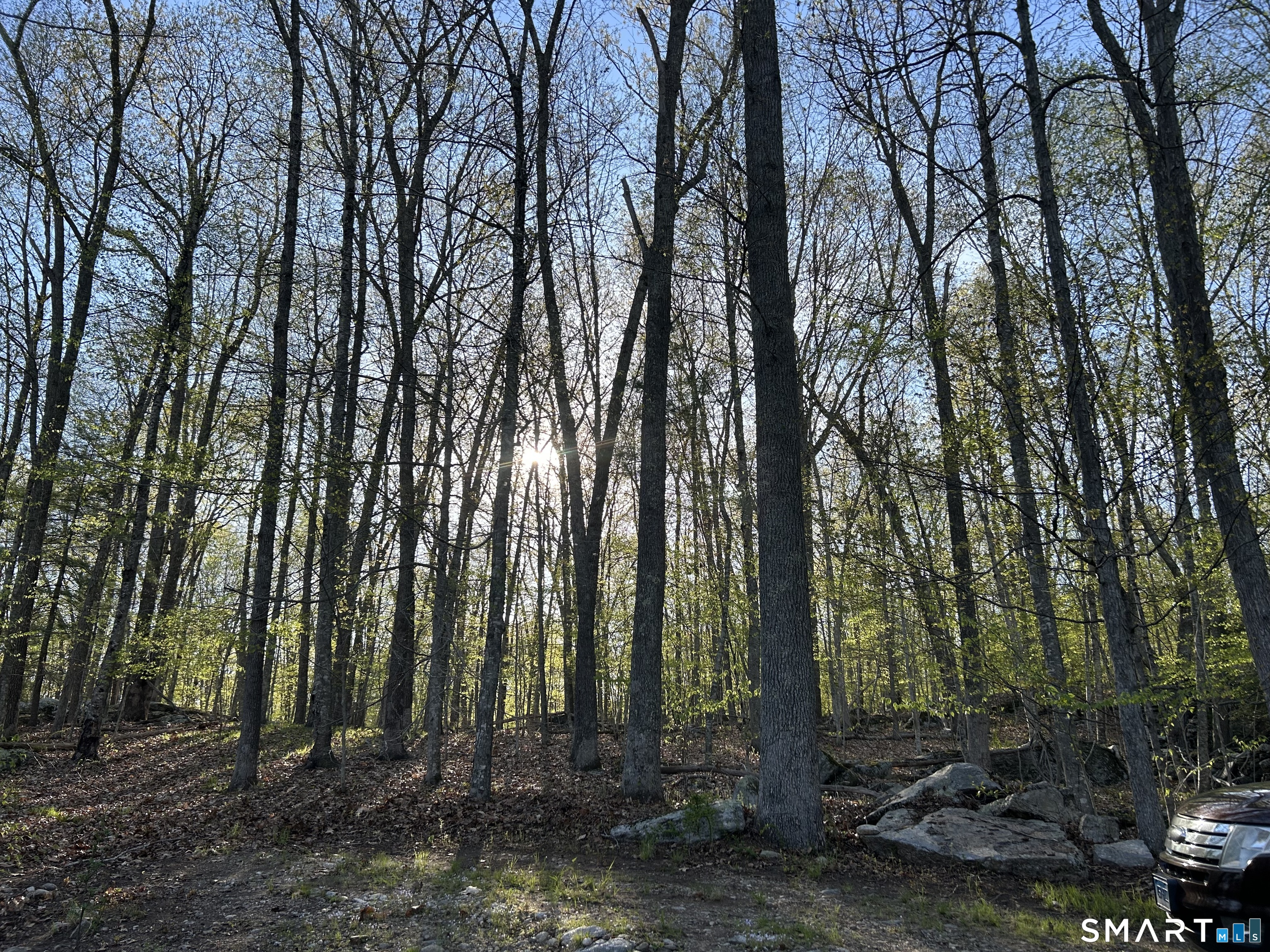 78 Salt Rock Road Sprague, CT 06330 - Photo 27 of 28 a view of forest