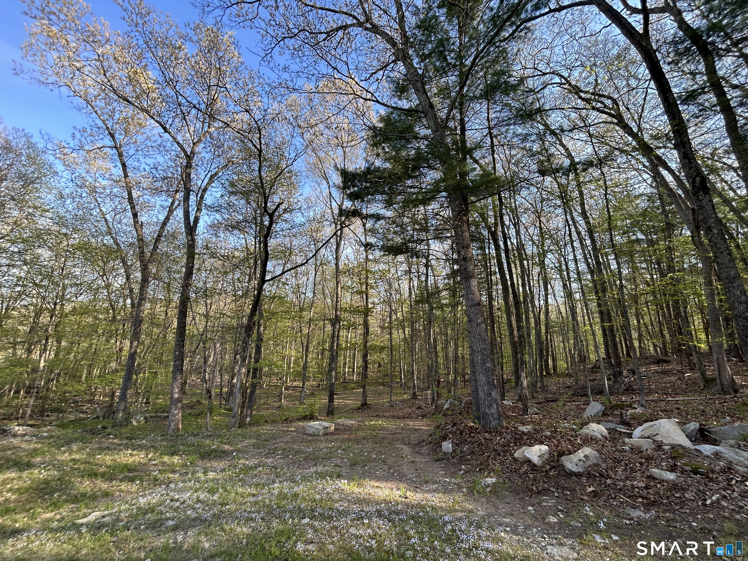 78 Salt Rock Road Sprague, CT 06330 - Photo 28 of 28 a backyard of a house with lots of green space