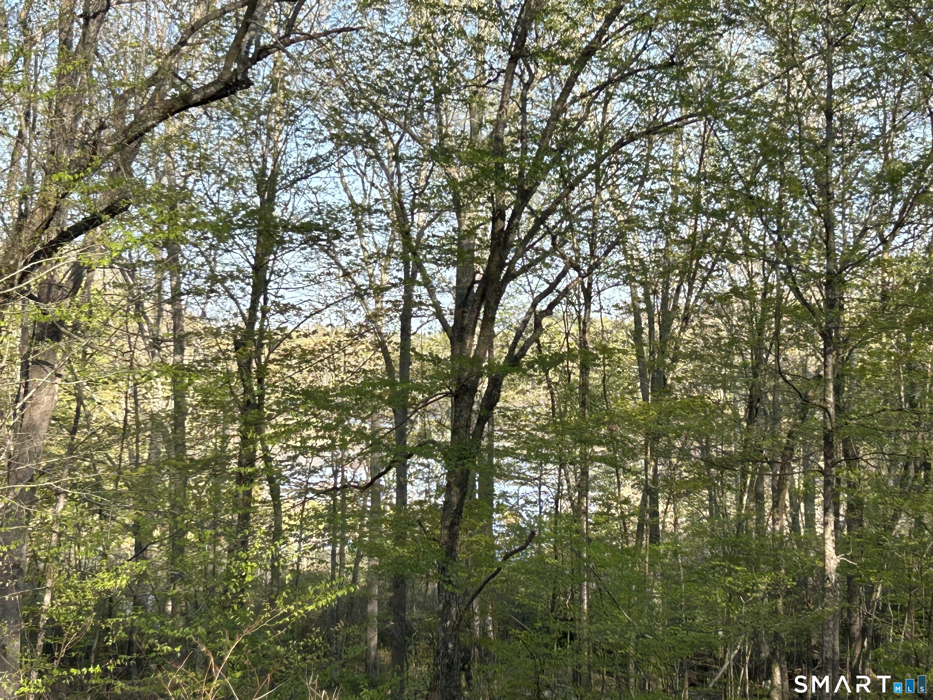 78 Salt Rock Road Sprague, CT 06330 - Photo 4 of 28