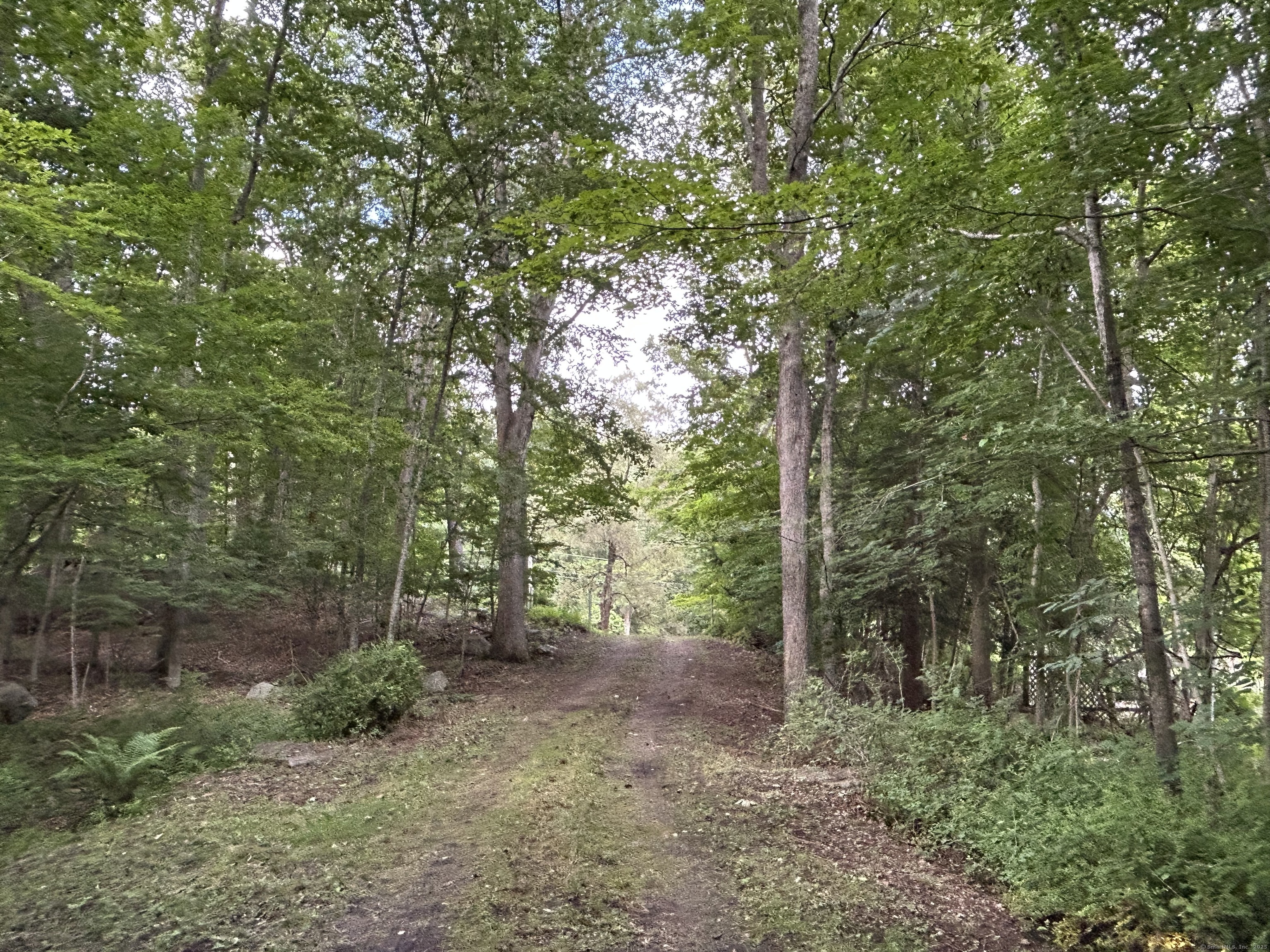 78 Salt Rock Road Sprague, CT 06330 - Photo 5 of 28 a view of a forest with trees