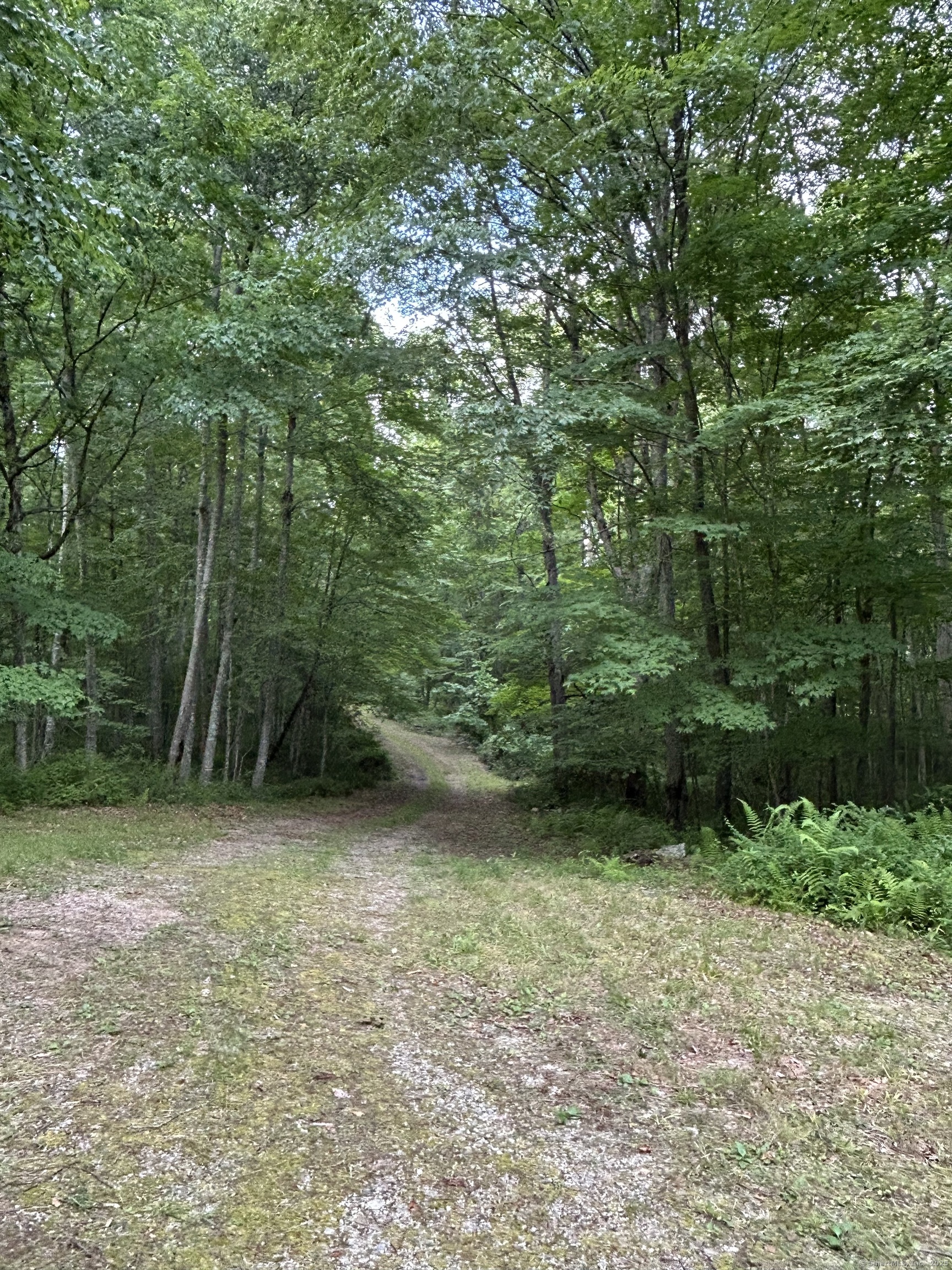 78 Salt Rock Road Sprague, CT 06330 - Photo 10 of 28 a view of a green field with lots of bushes