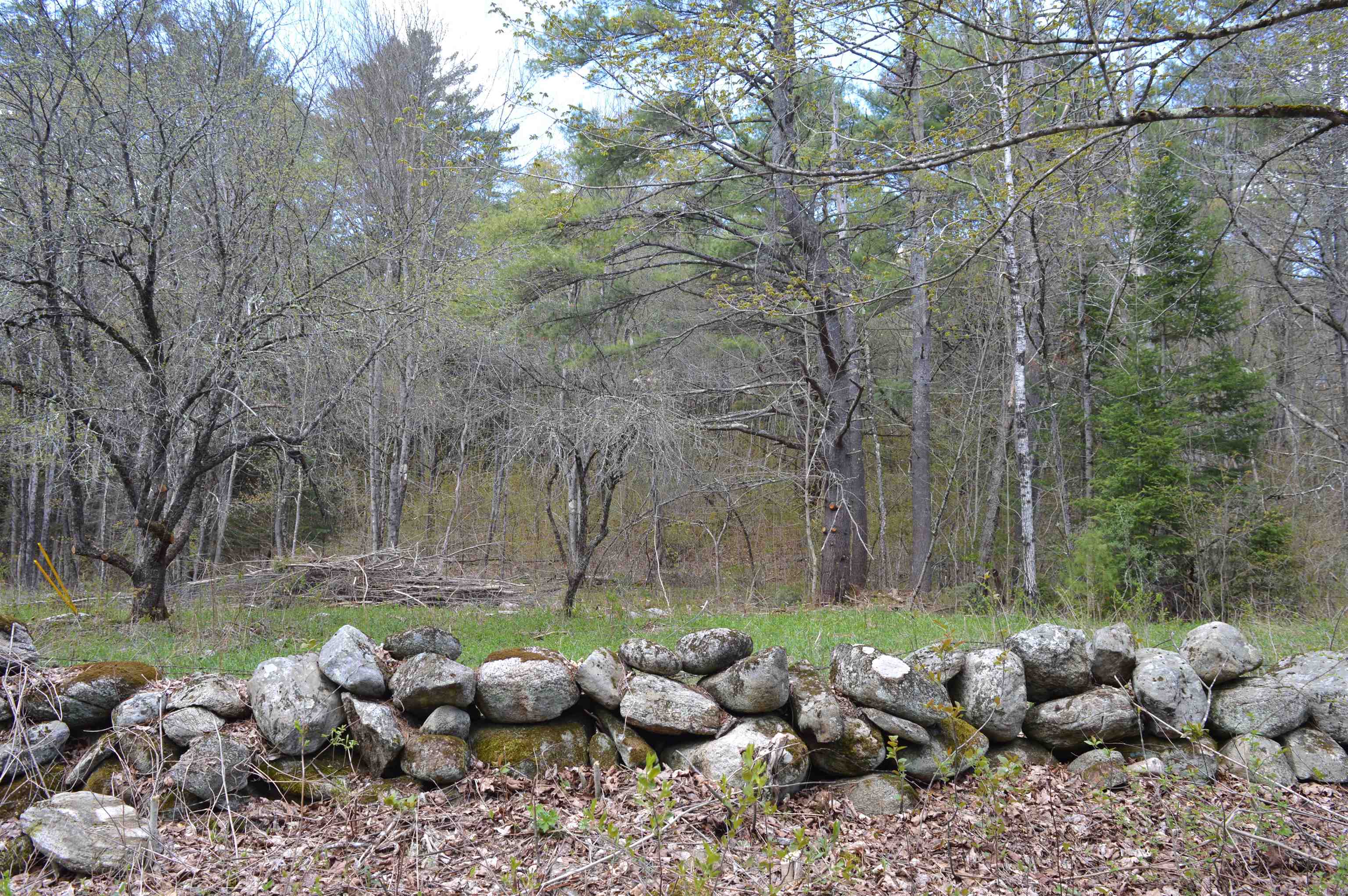 407 Cold River Road Acworth, NH 03607 - Photo 4 of 10