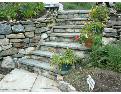 27 Lower Dam Way Dunstable, MA 01827 - Photo 16 of 19 a backyard of a house with lots of green space