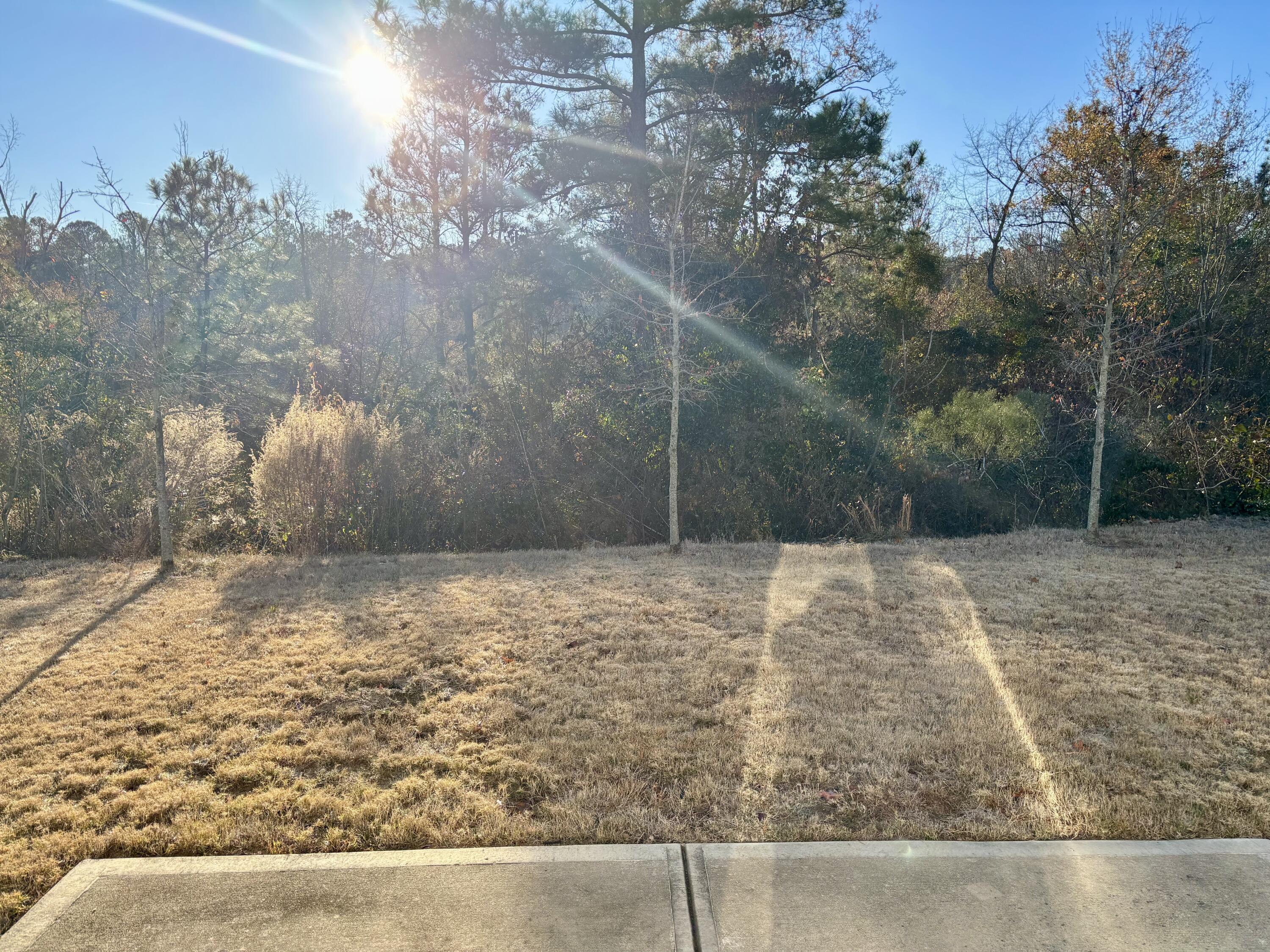 248 Expedition Drive North Augusta, SC 29841 - Photo 28 of 29 IMG_0550