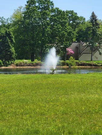 a backyard of a house with lots of green space and fountain