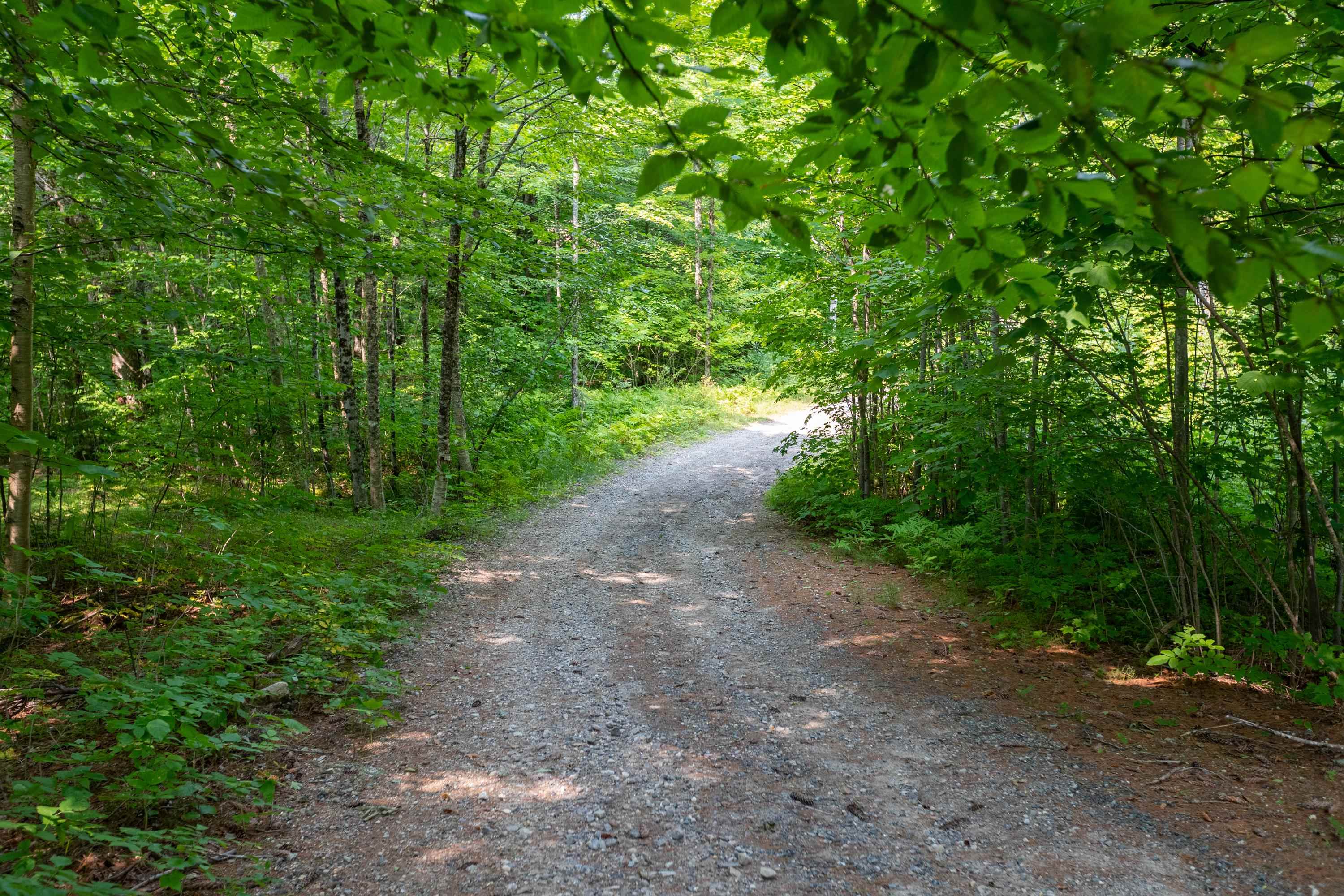 0 Doetown Road, Unit B Rumney, NH 03266 - Photo 13 of 14 Gallery Image 13