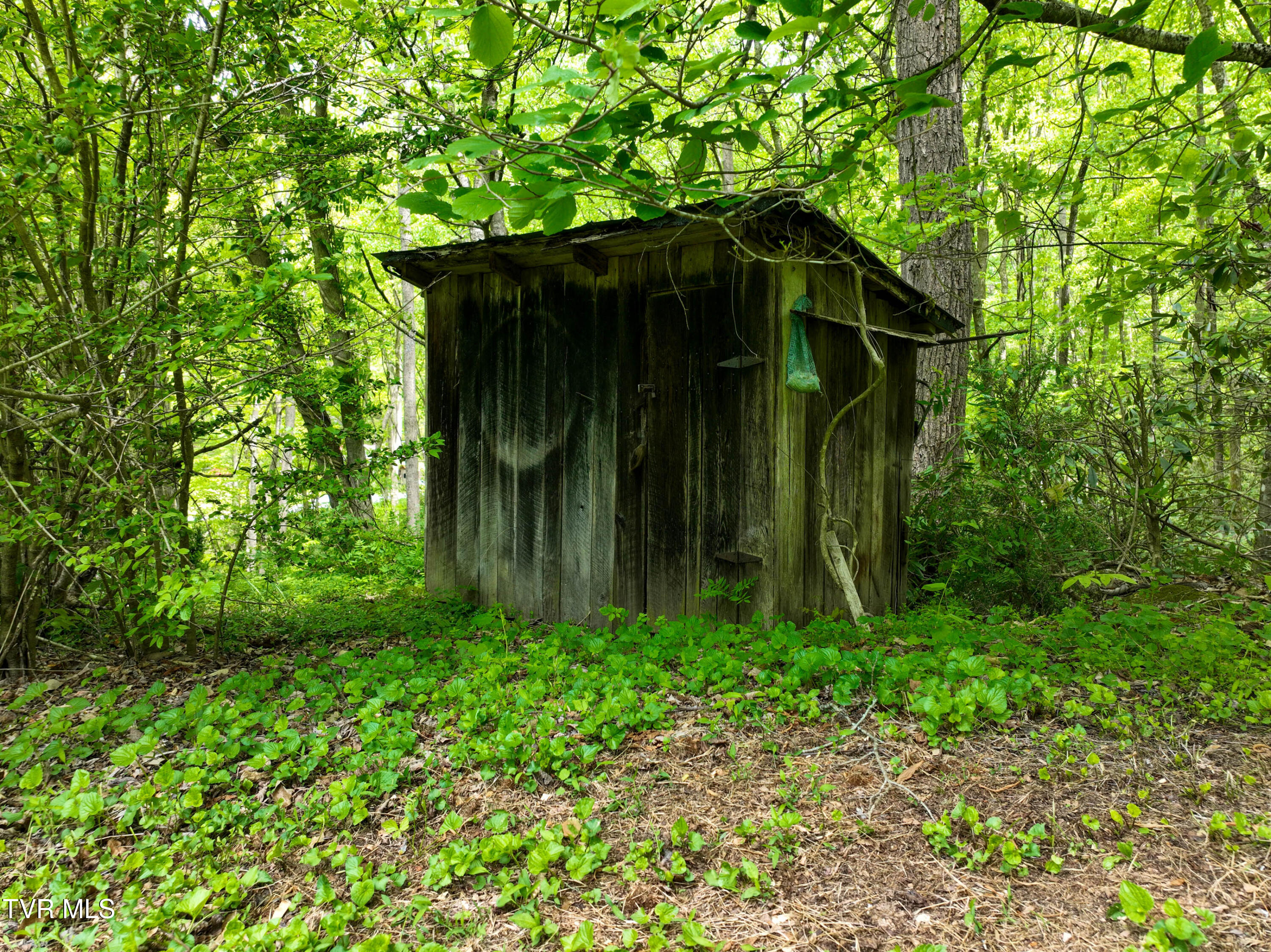 275 Tiger Creek Road Roan Mountain, TN 37687 - Photo 82 of 104 275 Tiger Creek Rd Drone WALLACE-28
