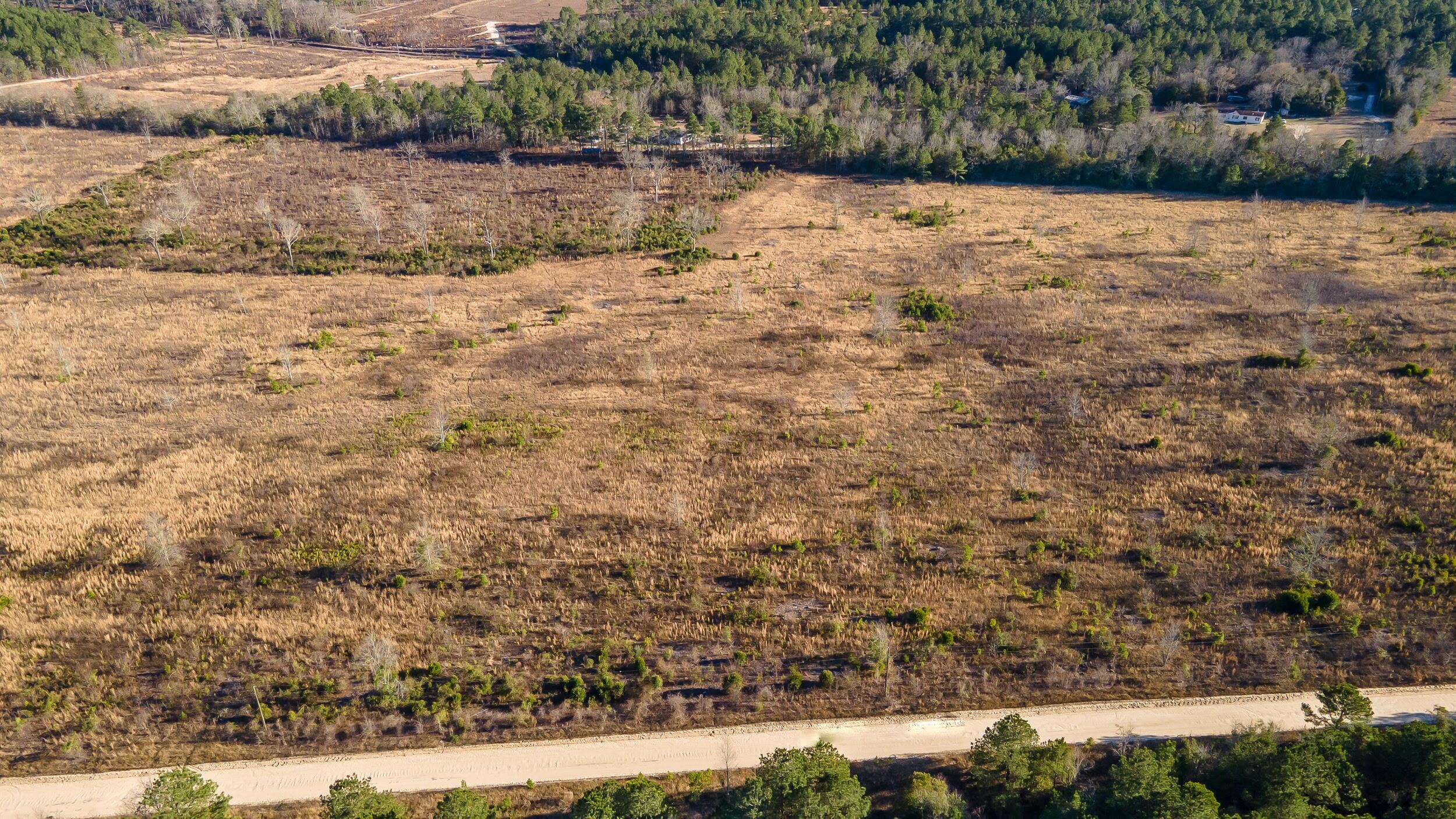 Lot 4 Old Shoals Road Monetta, SC 29105 - Photo 8 of 18