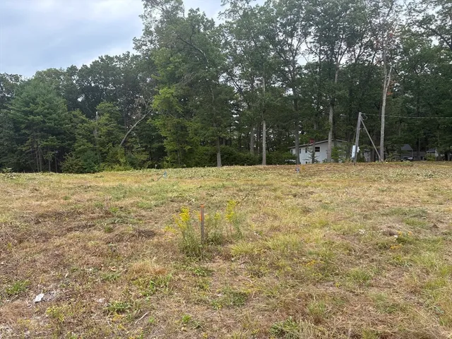 a street view with yard