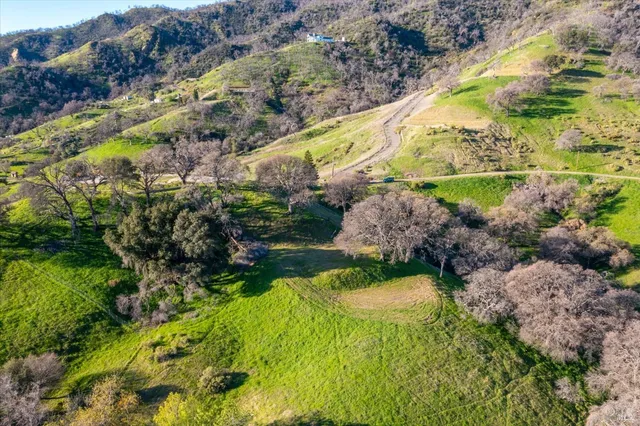 a view of a garden with plants
