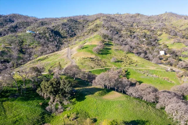 a view of a yard with a lake