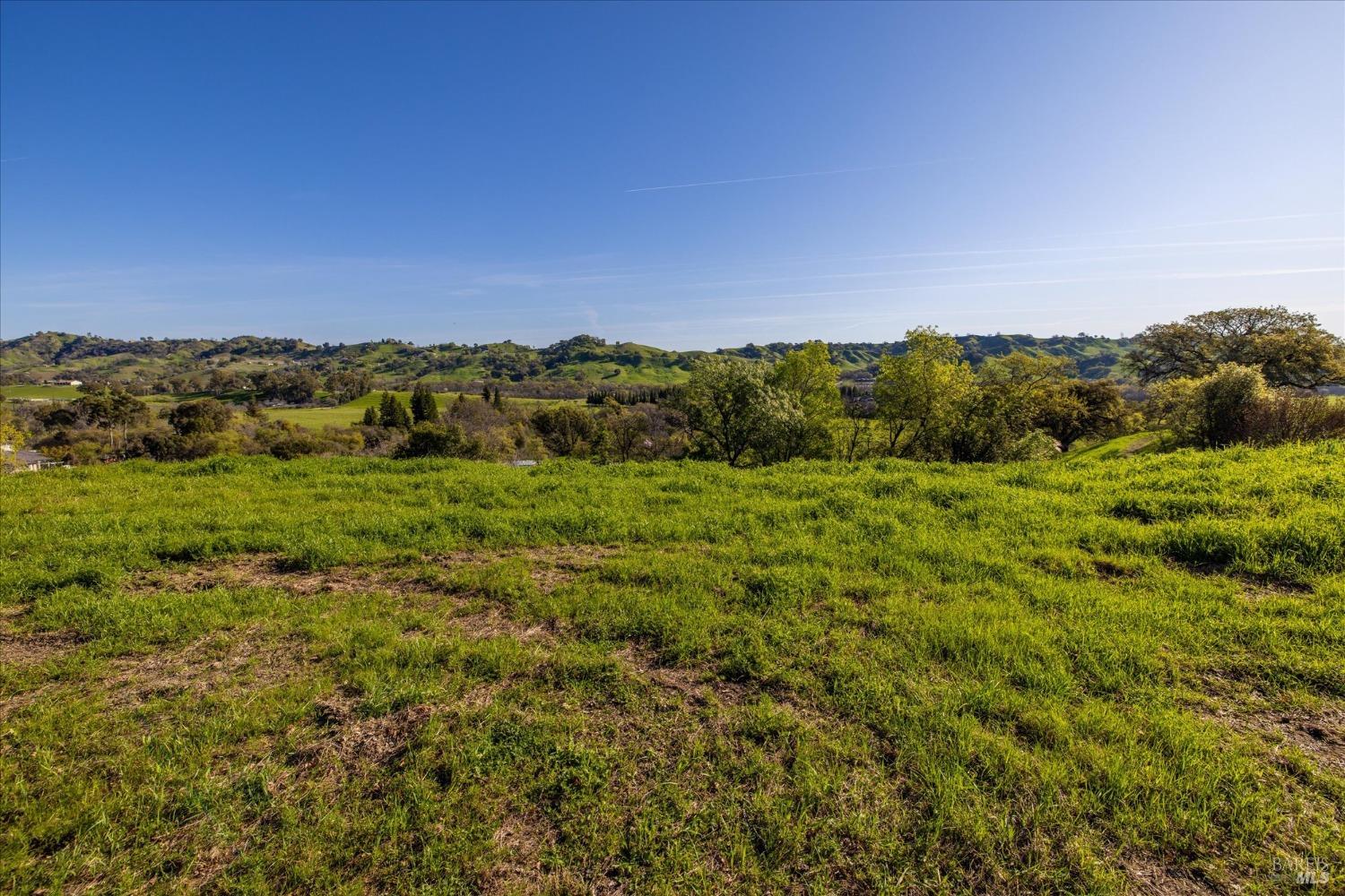 7031 Robindale Lane Vacaville, CA 95688 - Photo 27 of 42 a view of a lush green forest with trees and a houses