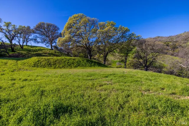 a view of a garden with a building in the background