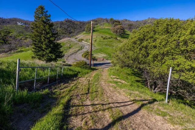 a view of a yard with an trees