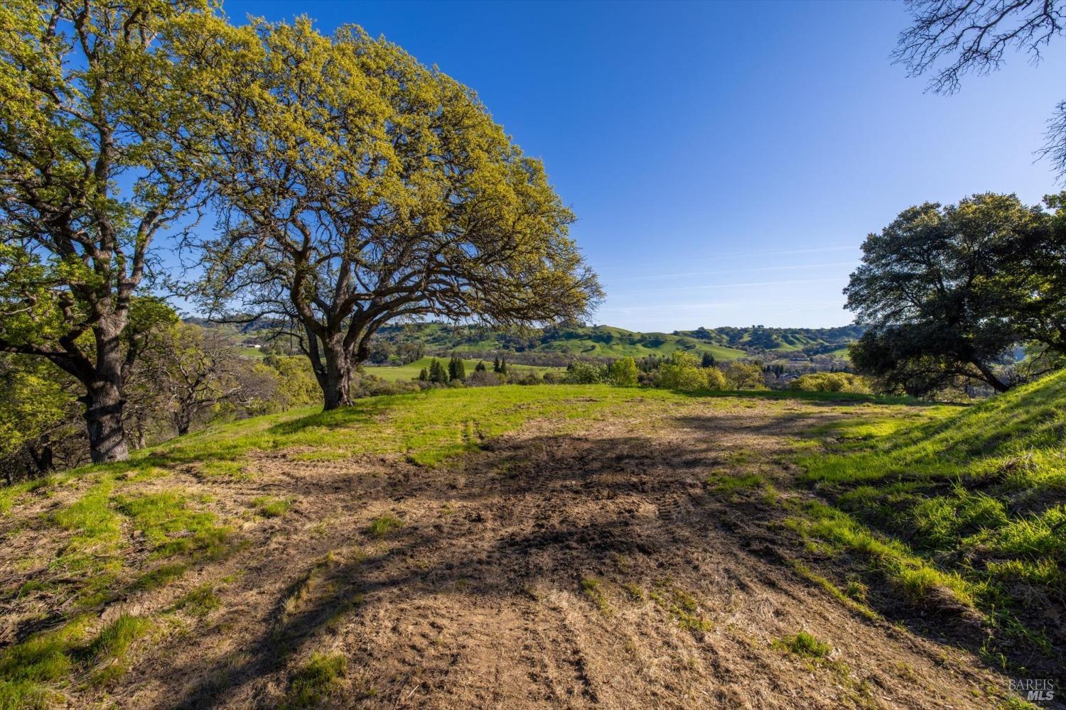 7031 Robindale Lane Vacaville, CA 95688 - Photo 35 of 42 a view of a yard with a house