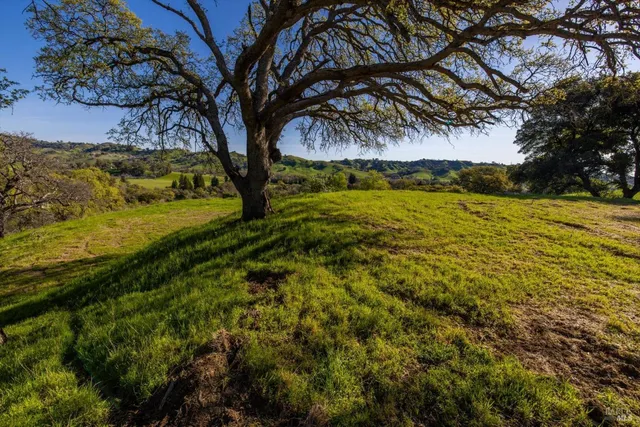 a view of an outdoor space with a lake view