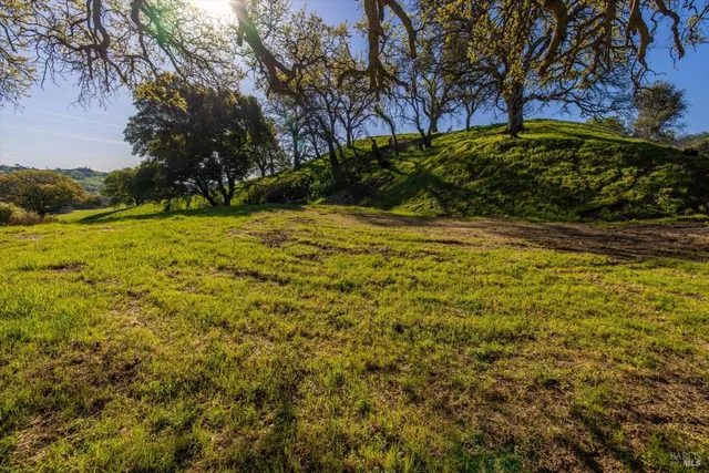 a view of a yard with a mountain