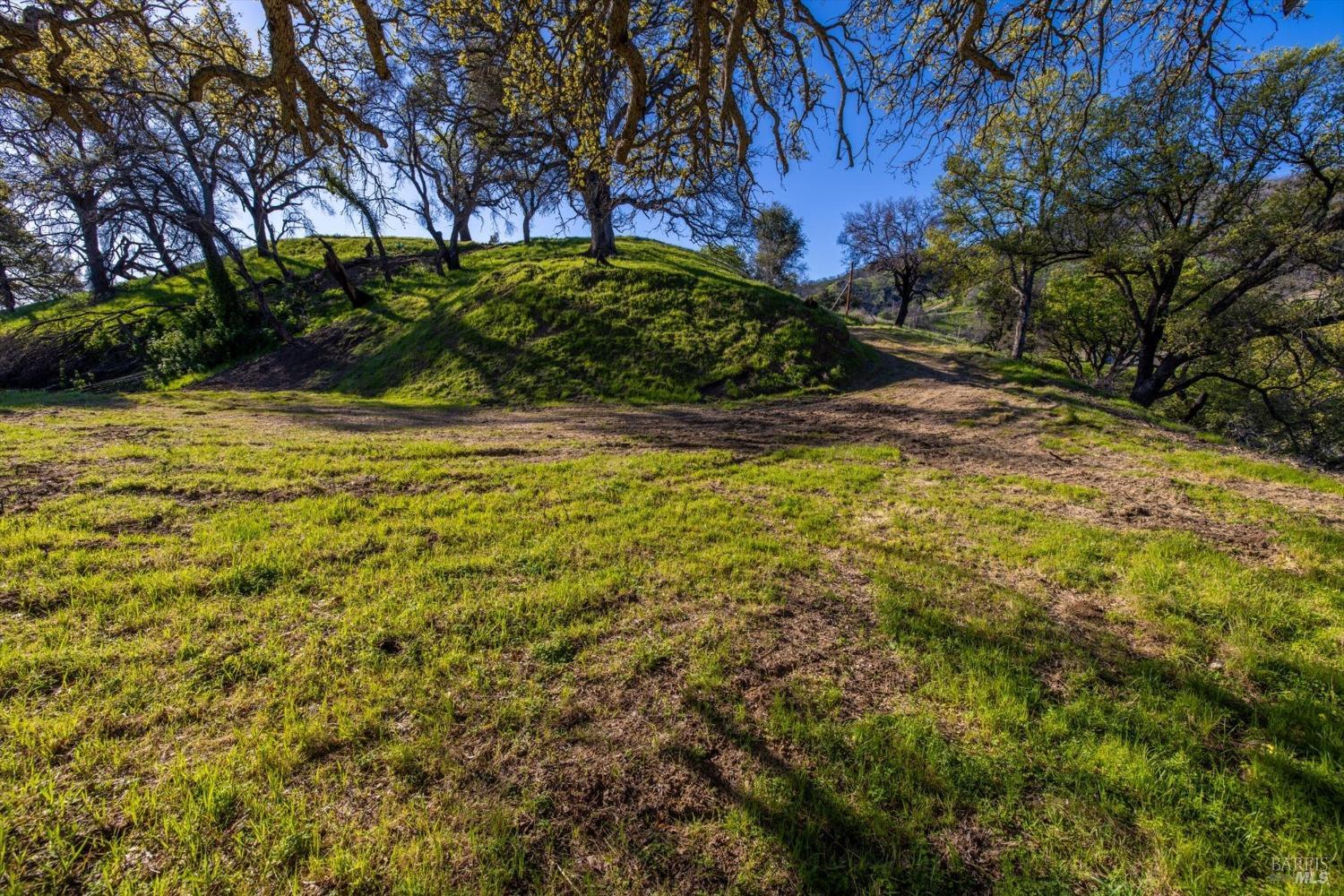 7031 Robindale Lane Vacaville, CA 95688 - Photo 38 of 42 a view of yard with green space