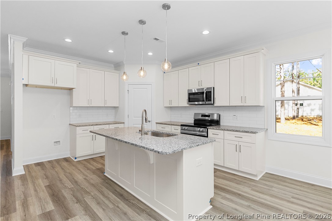 152 Rabbit Run Drive Smithfield, NC 27577 - Photo 5 of 28