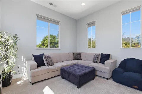 a living room with furniture and a potted plant