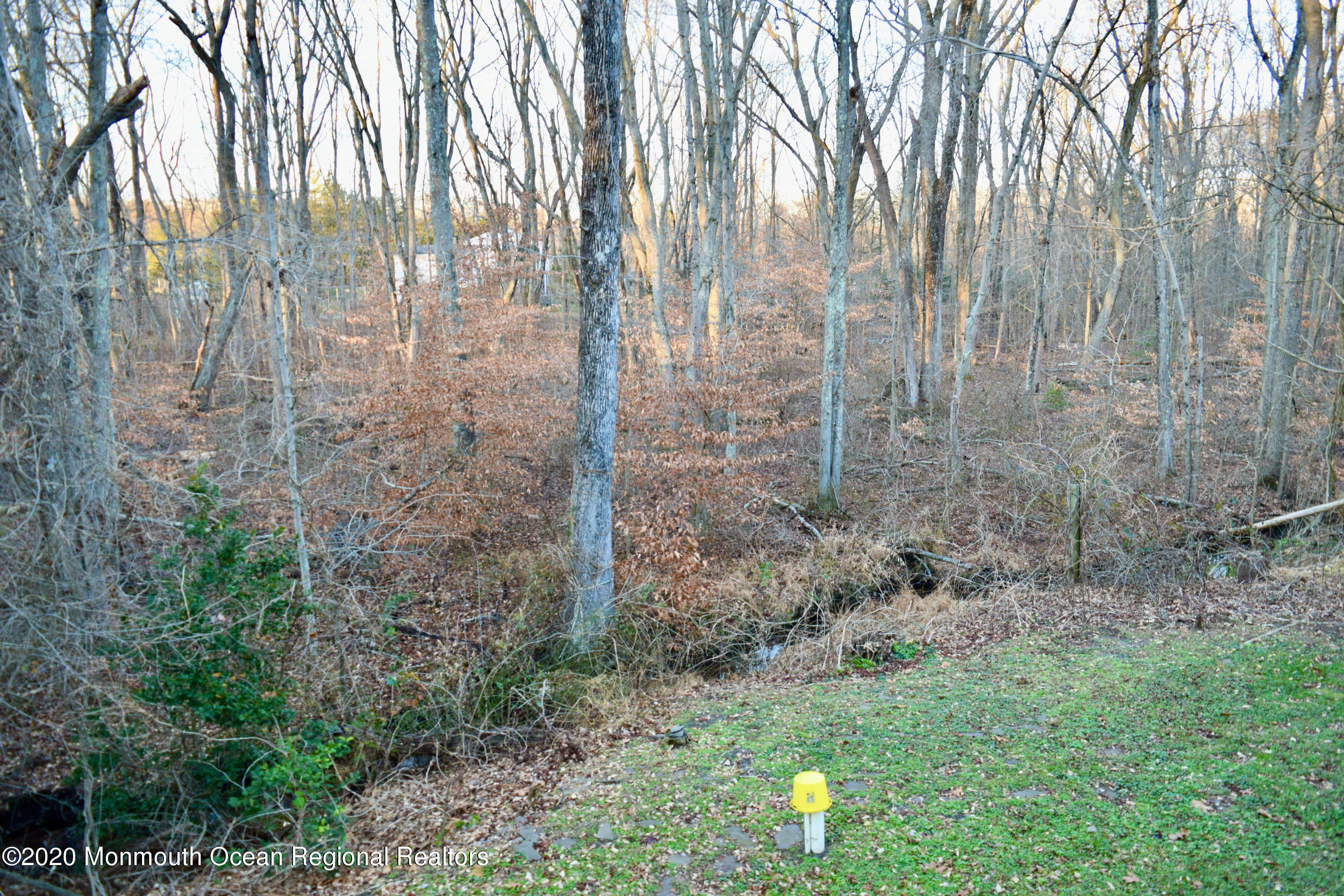 13 Reiner Road Cream Ridge, NJ 08514 - Photo 44 of 44 DSC_0570