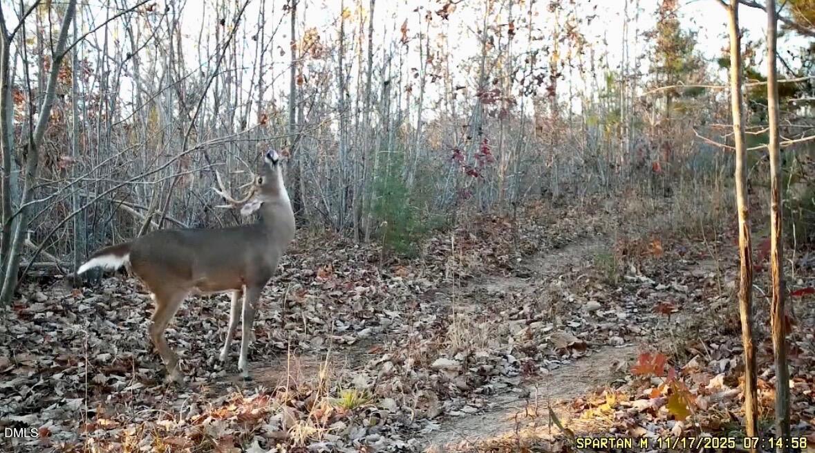 135 Barker Road Semora, NC 27343 - Photo 3 of 14 November 2025_Yellow Trail