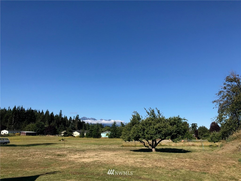 392 Vautier Road Sequim, WA 98382 - Photo 2 of 19