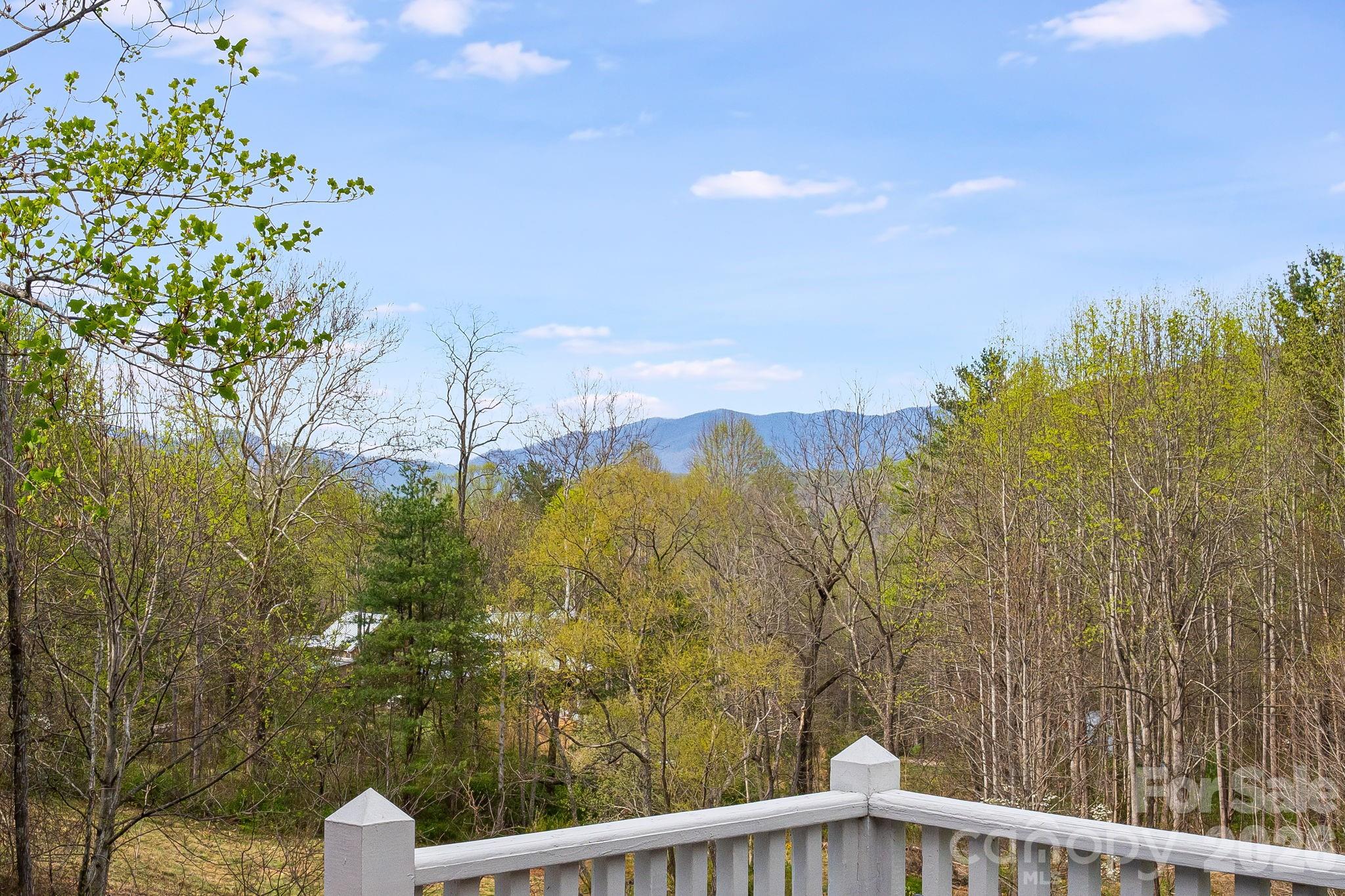 92 Rose Hill Road Asheville, NC 28803 - Photo 32 of 44